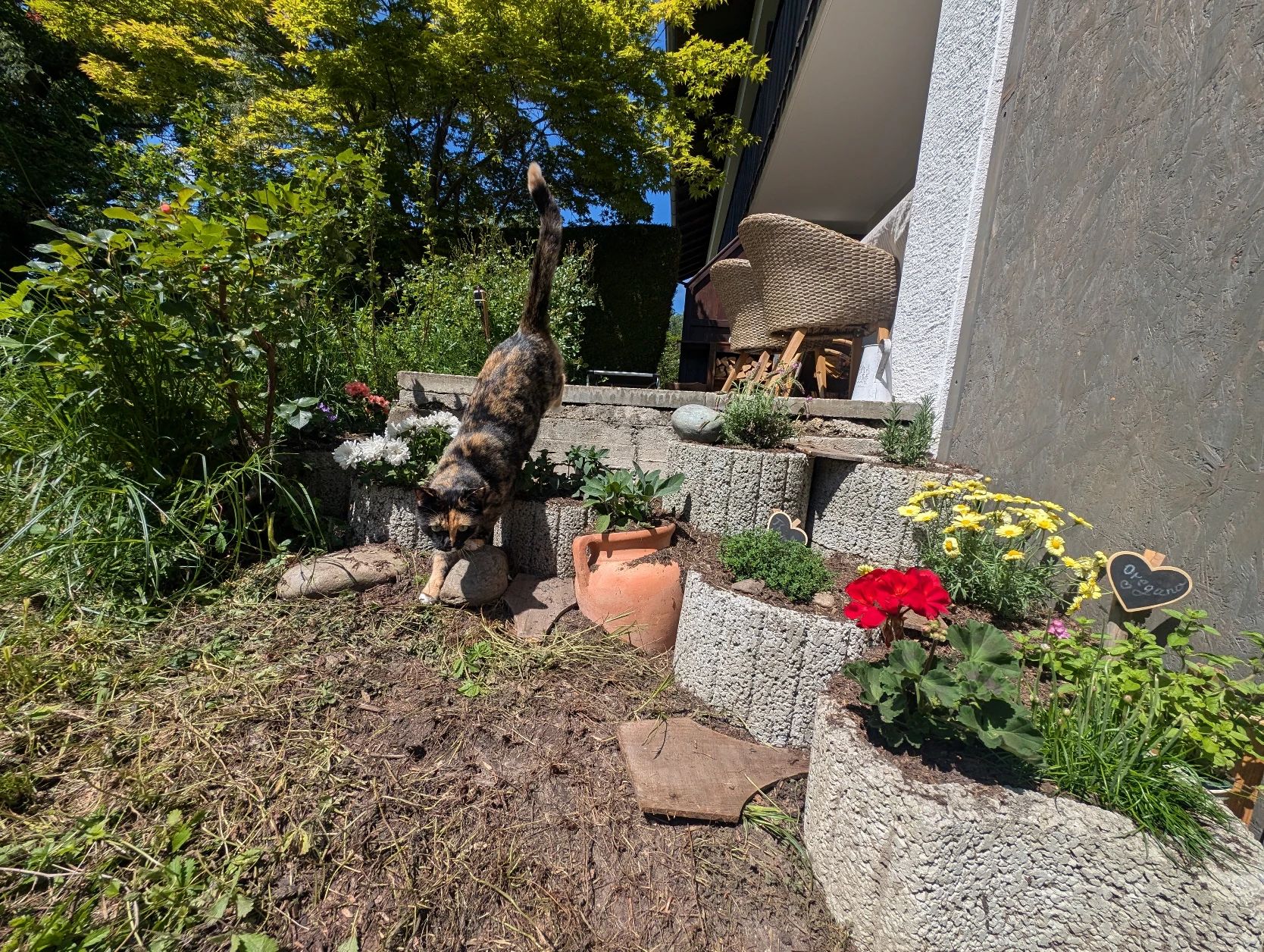 image-14
