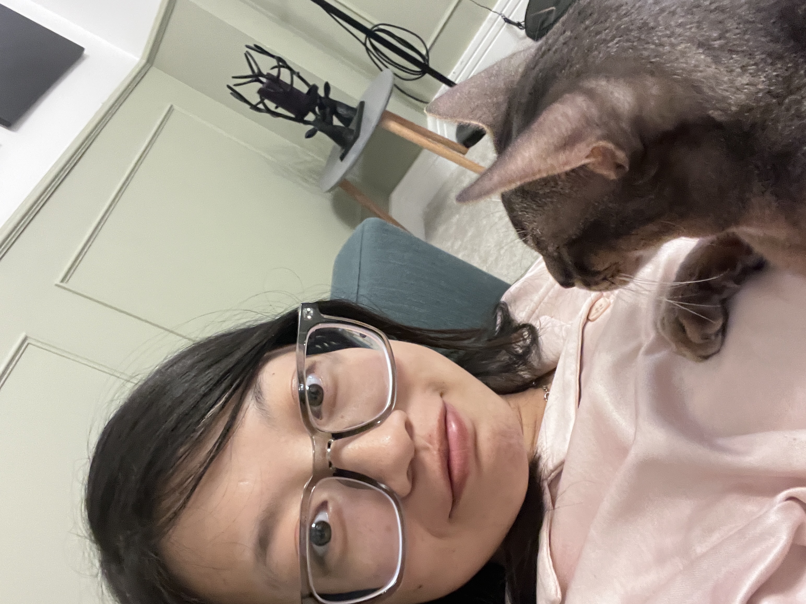 image-7