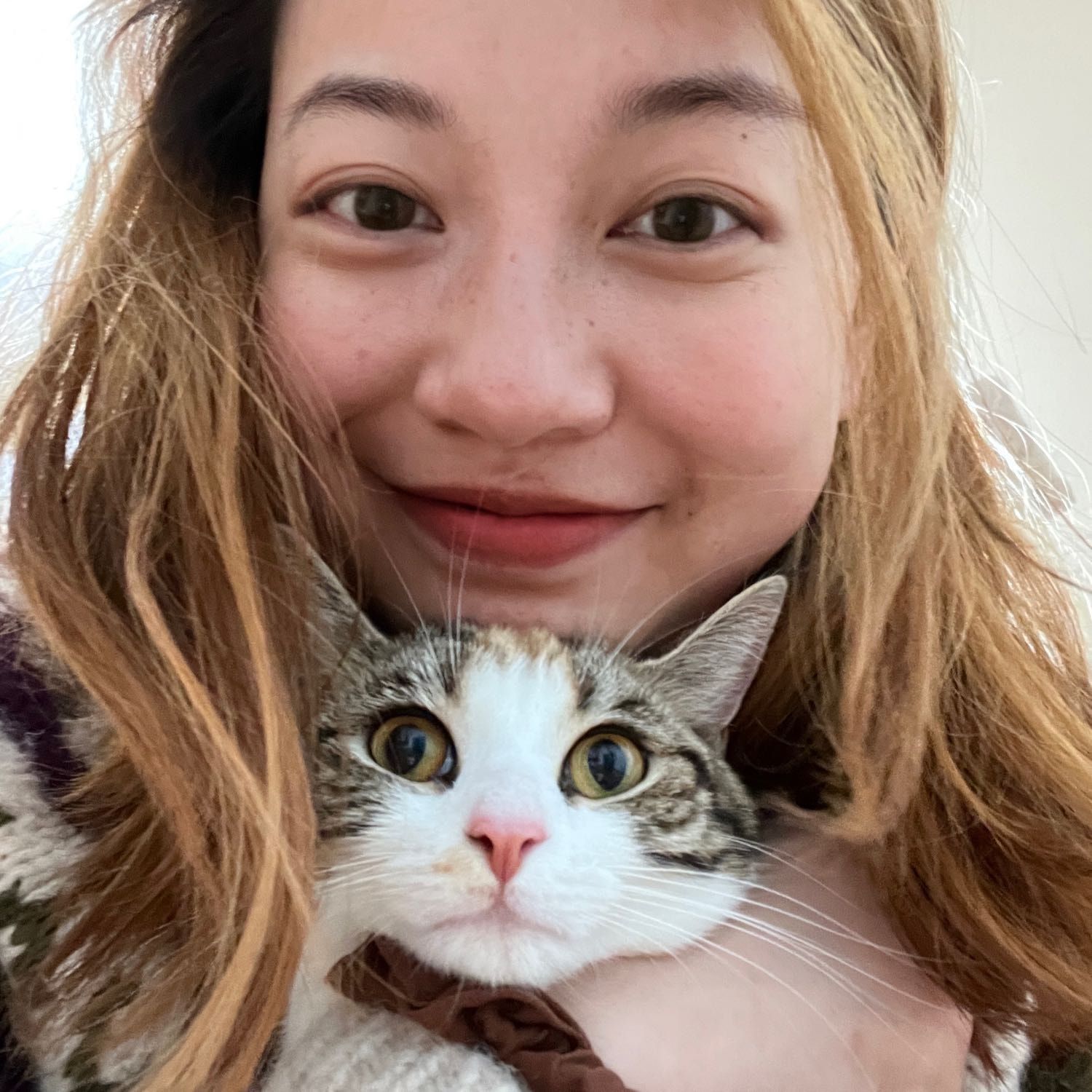 Guojiao
