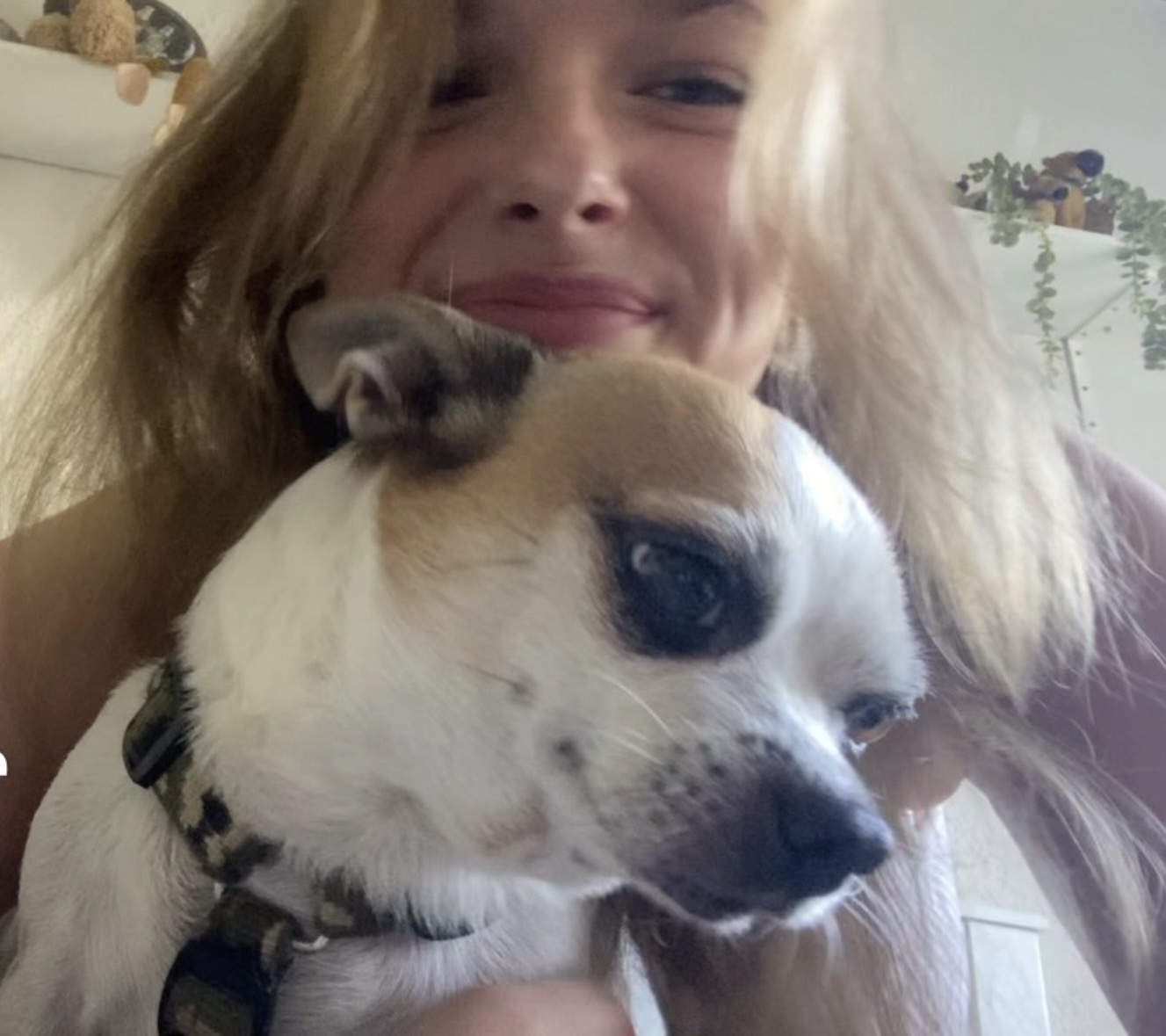 image-4