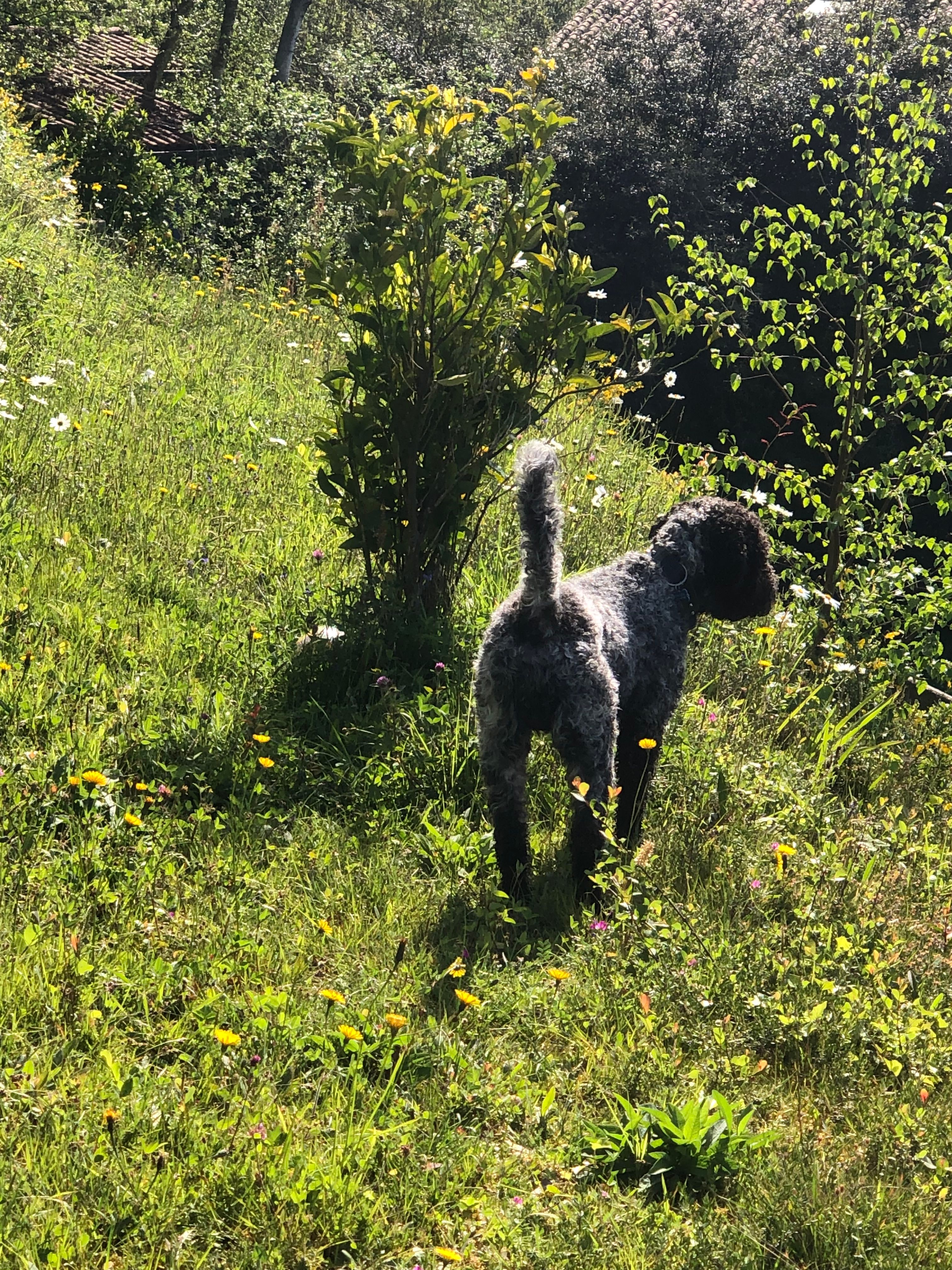 image-2