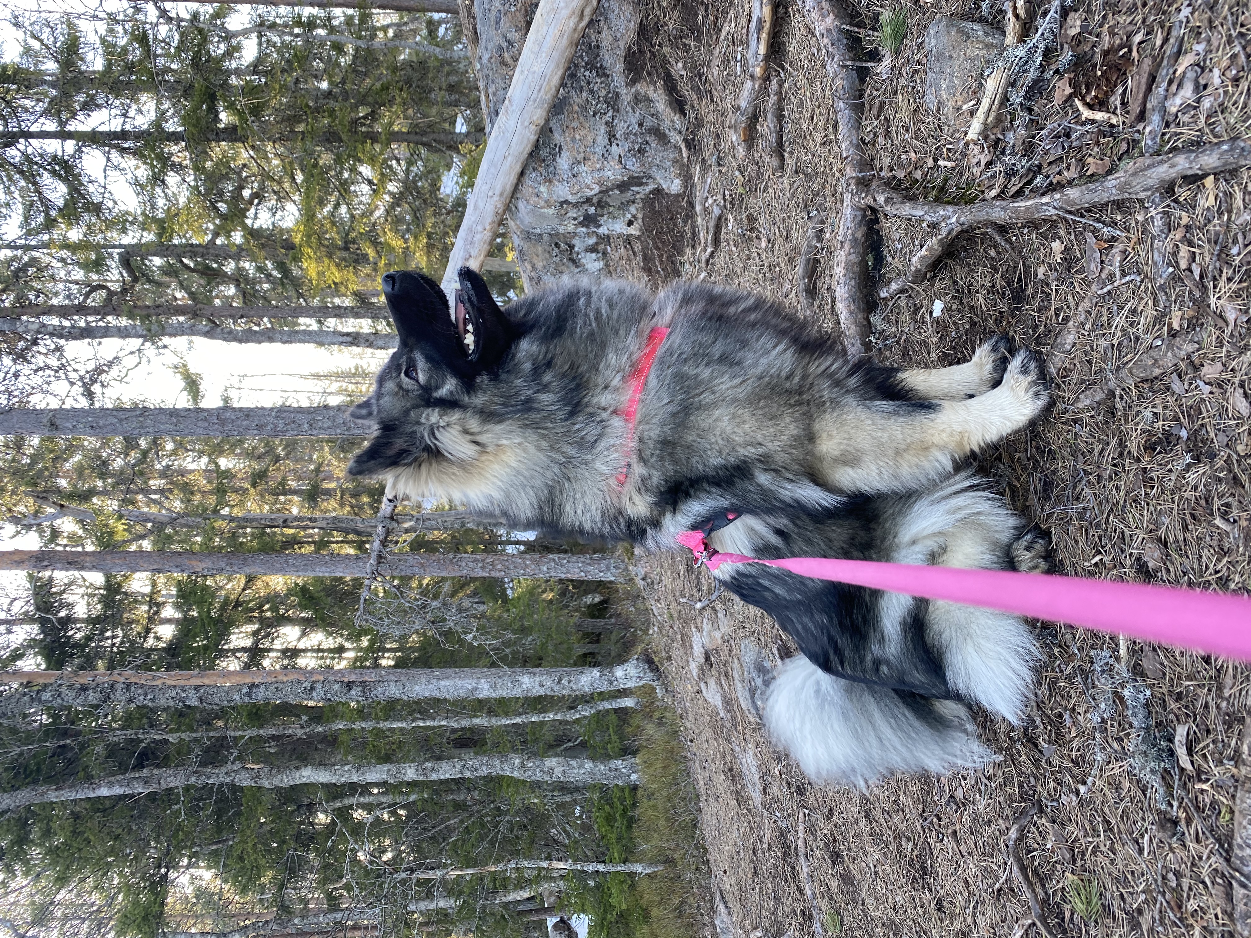 image-10