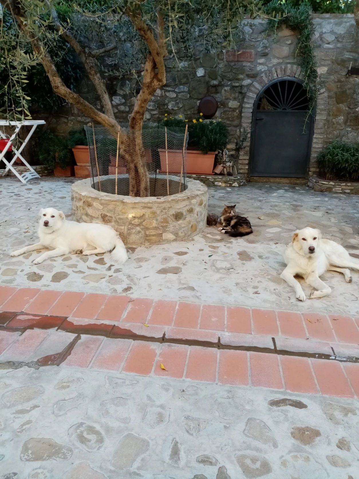 image-10