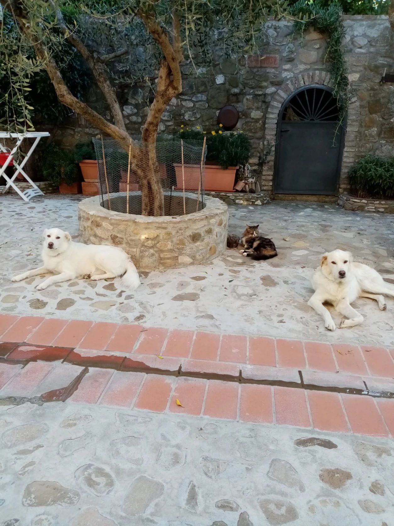 image-10