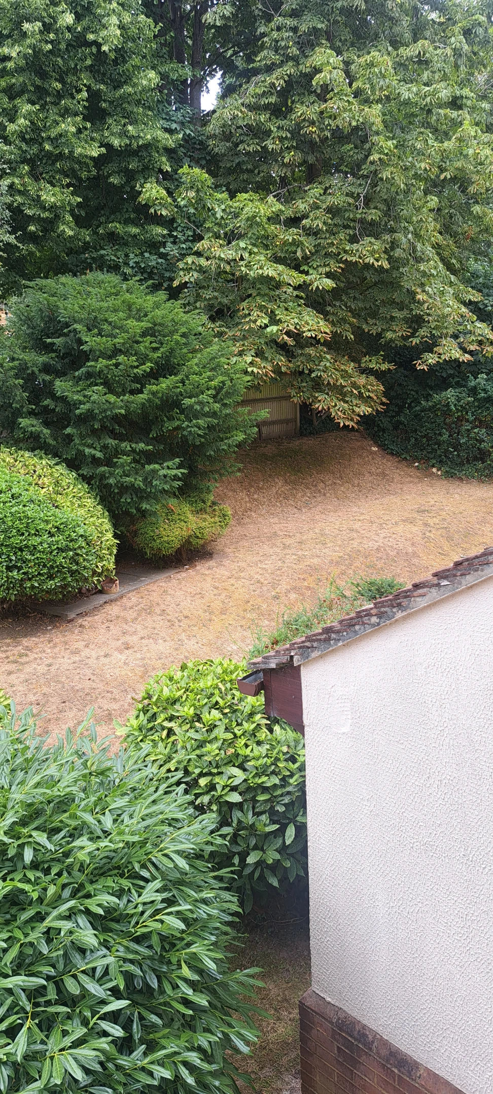 image-17