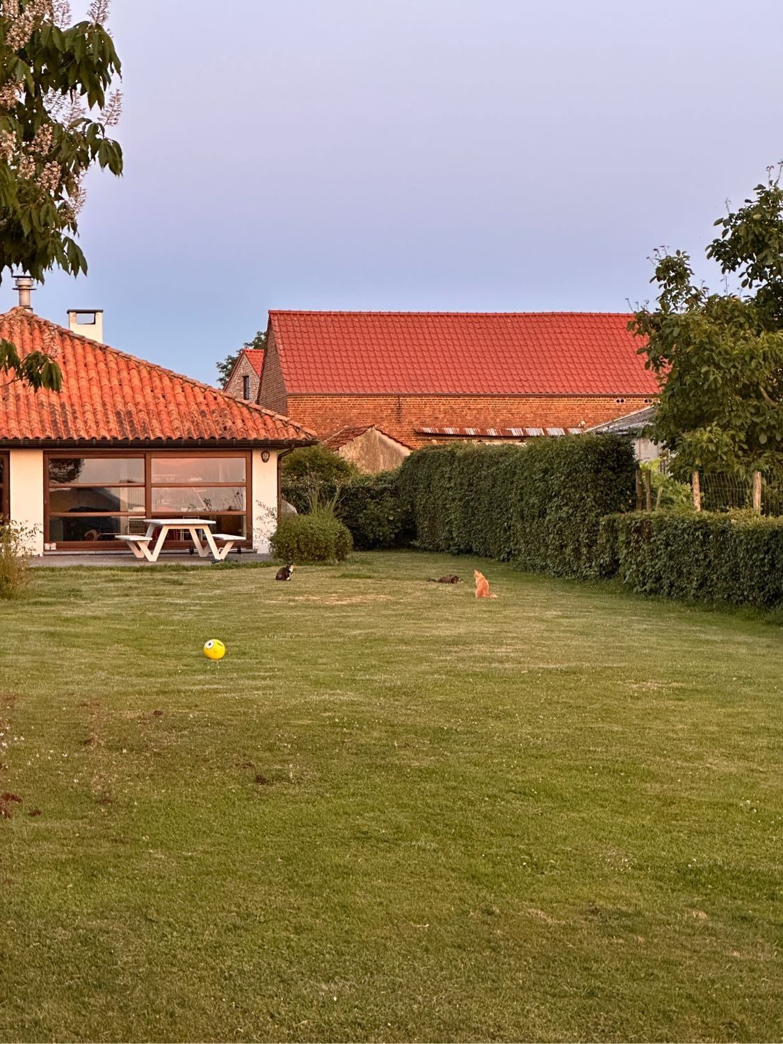 image-16