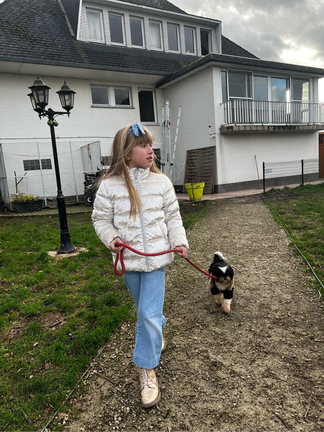 image-7