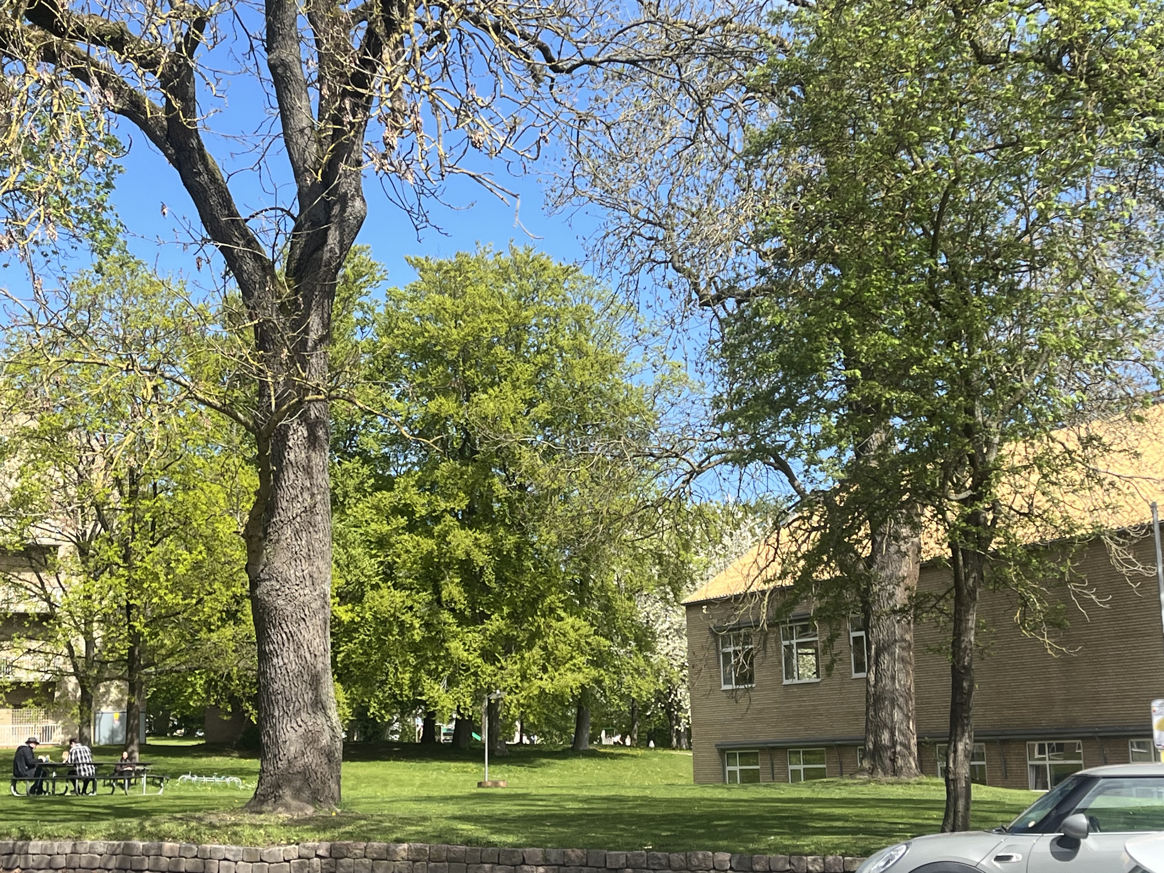 image-14