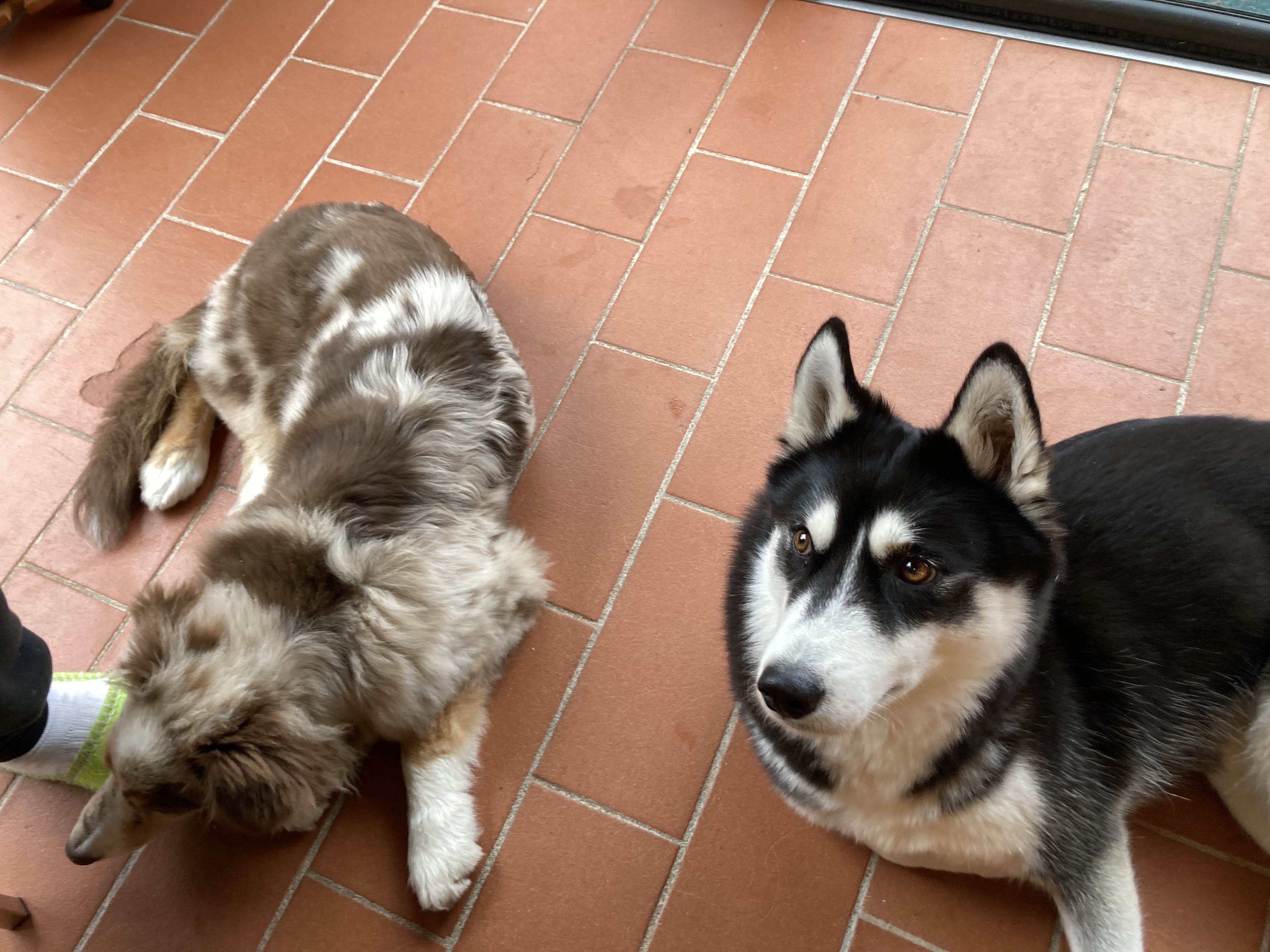 image-8