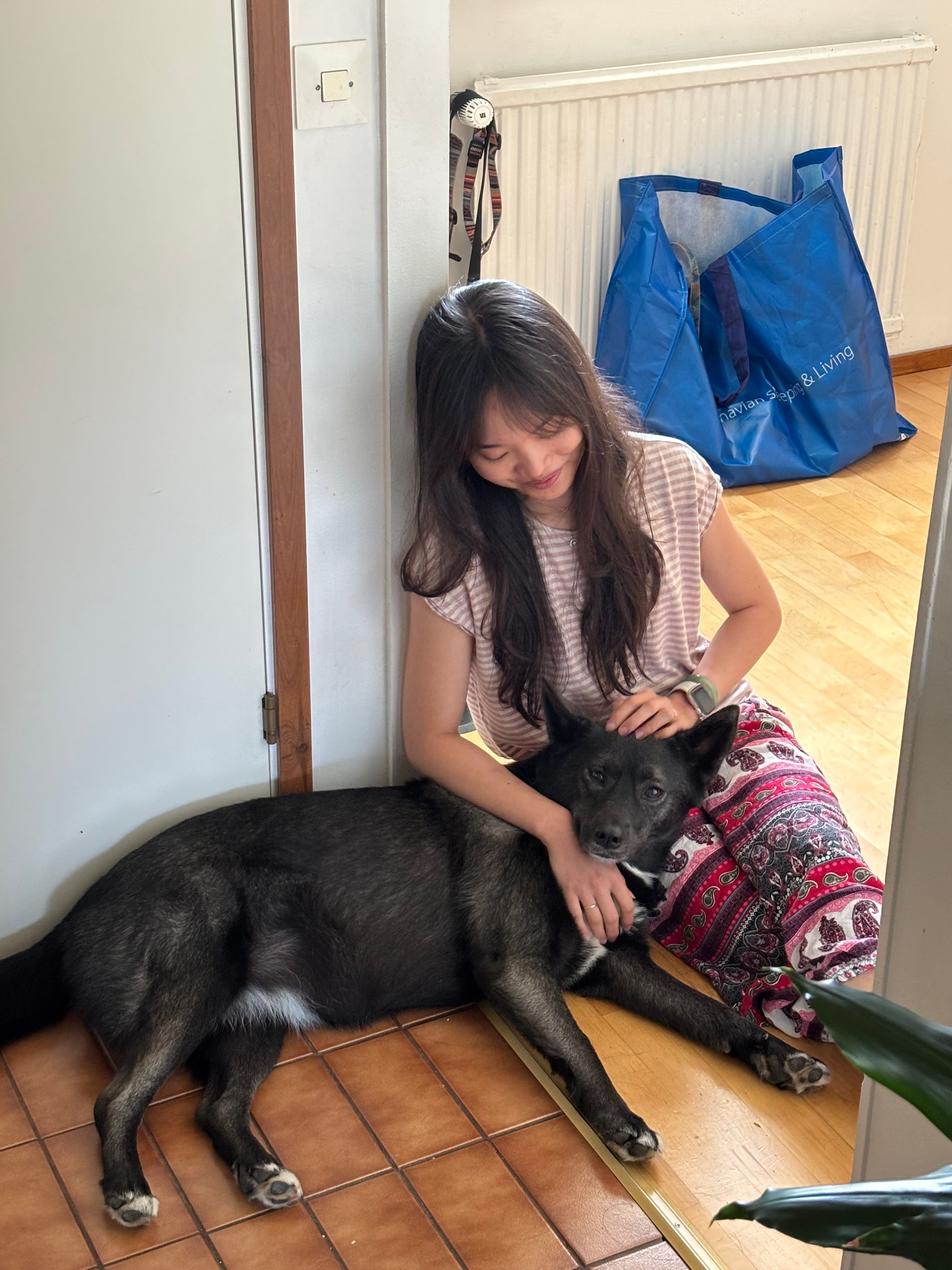 image-10