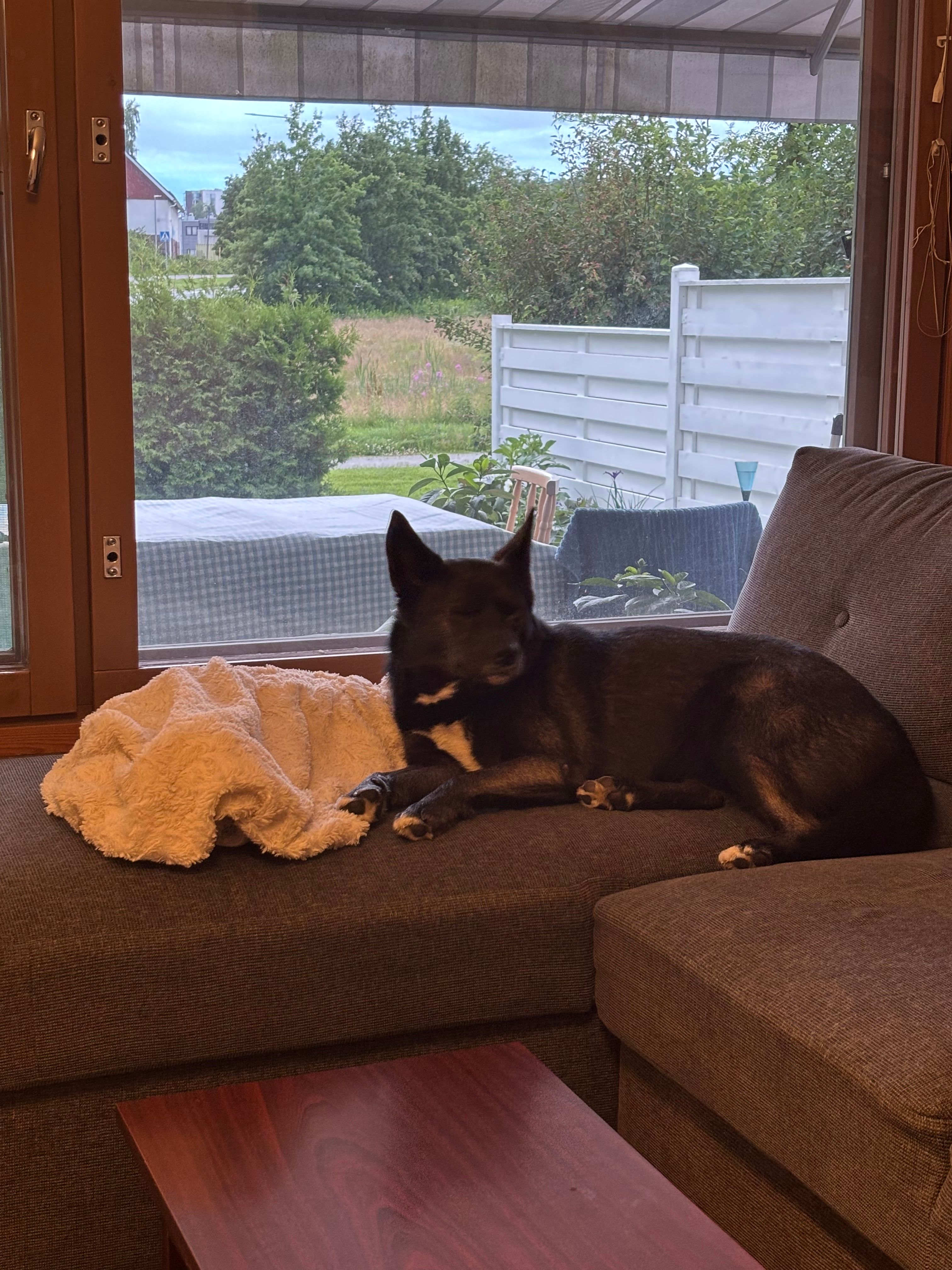 image-15
