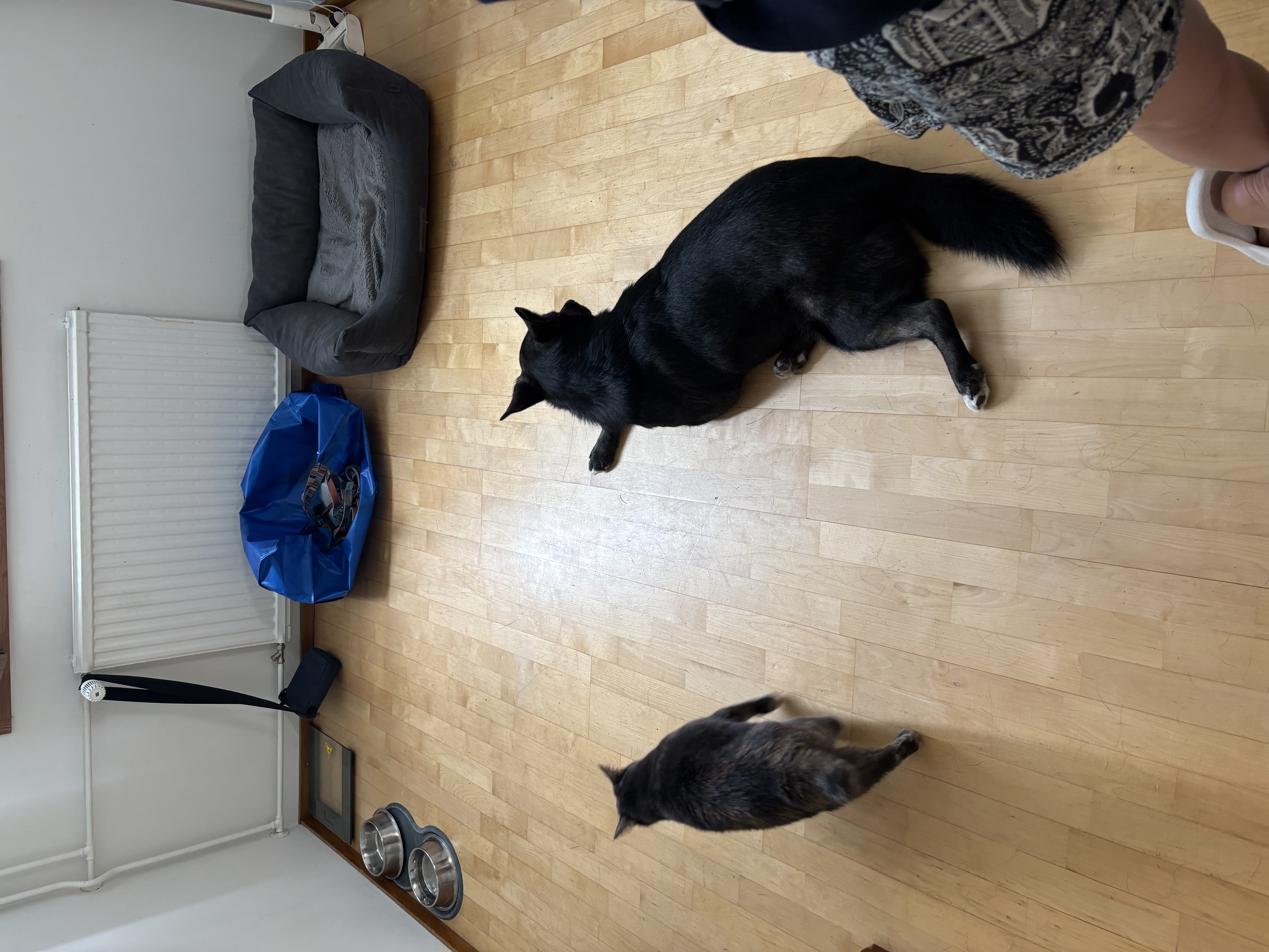 image-19