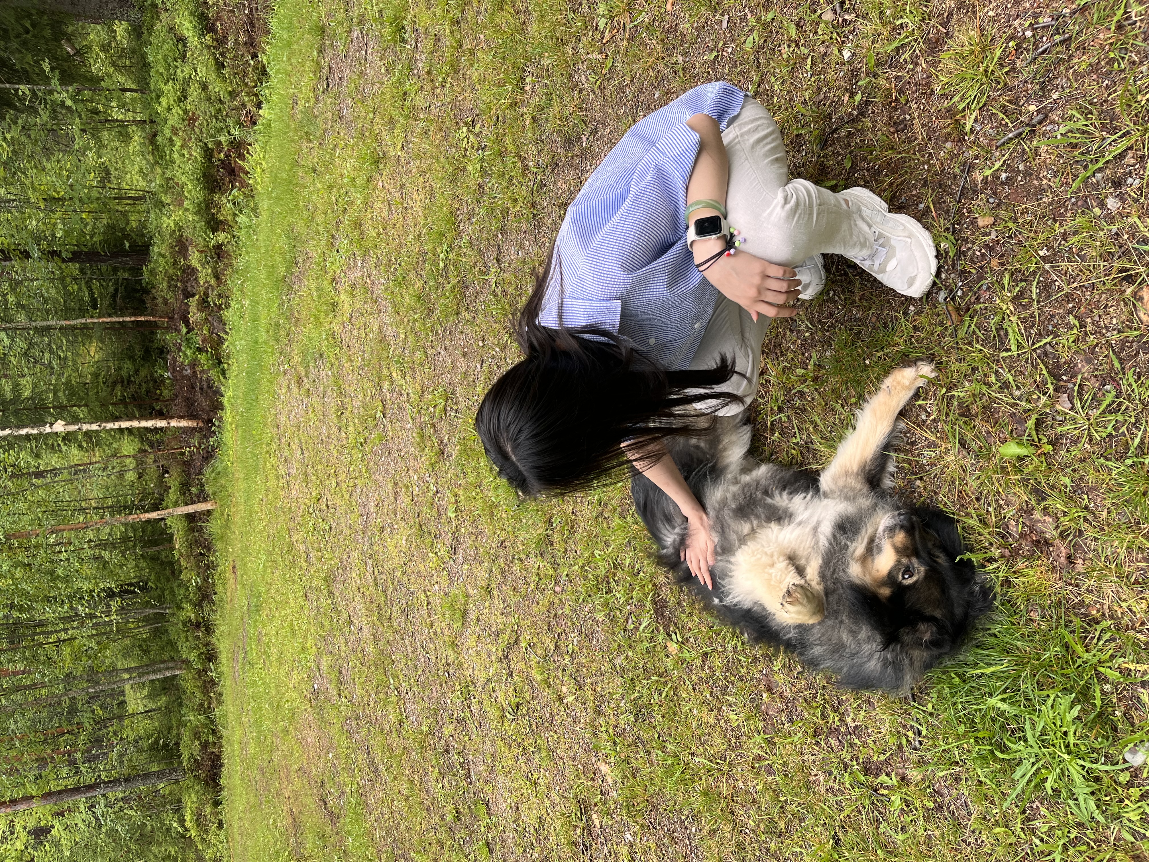 image-4