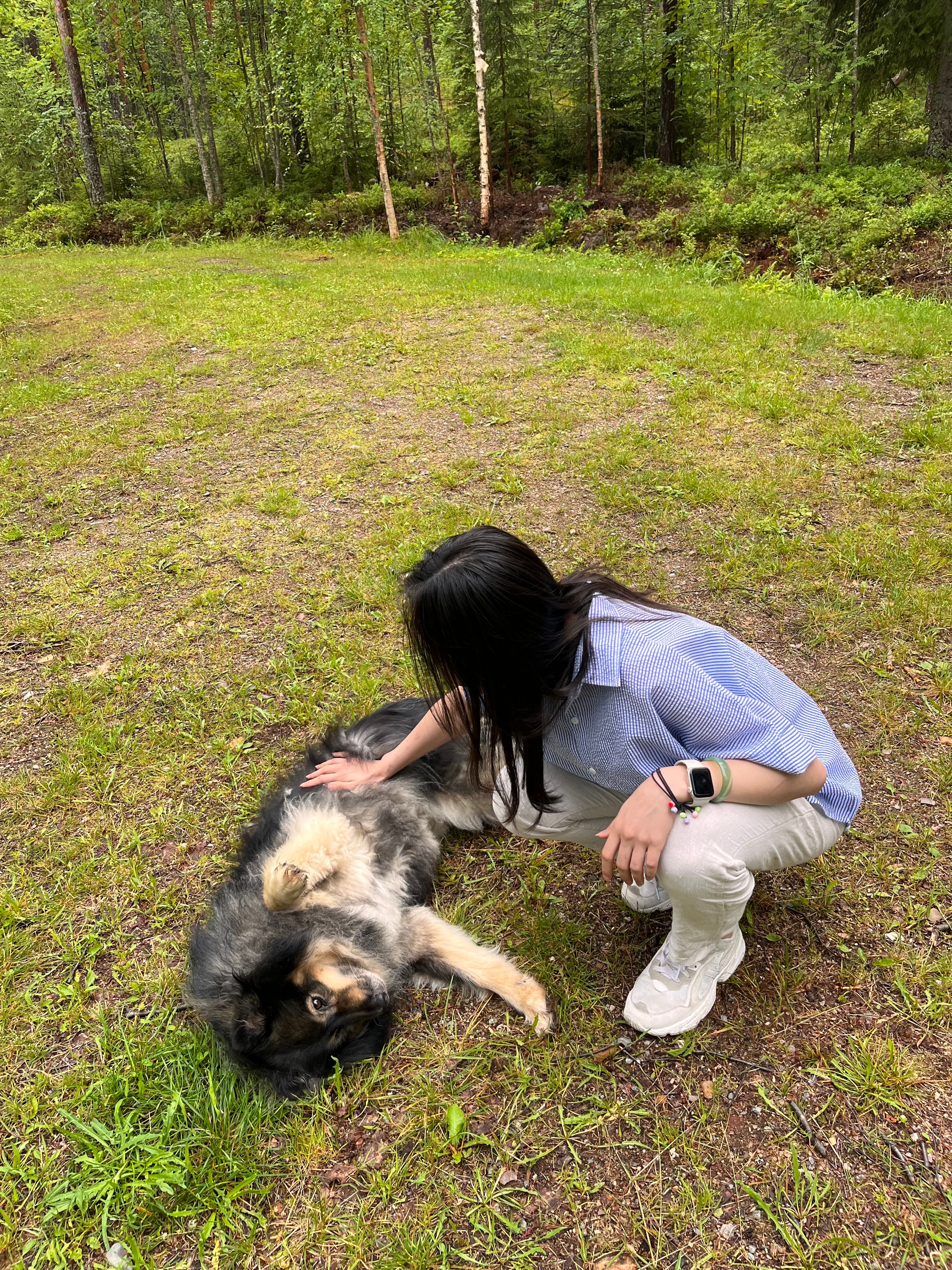 image-4