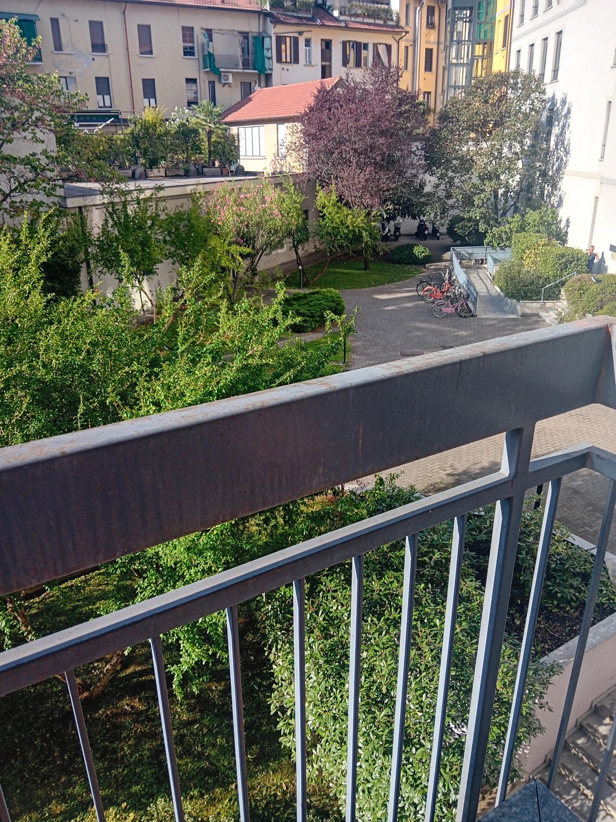image-15