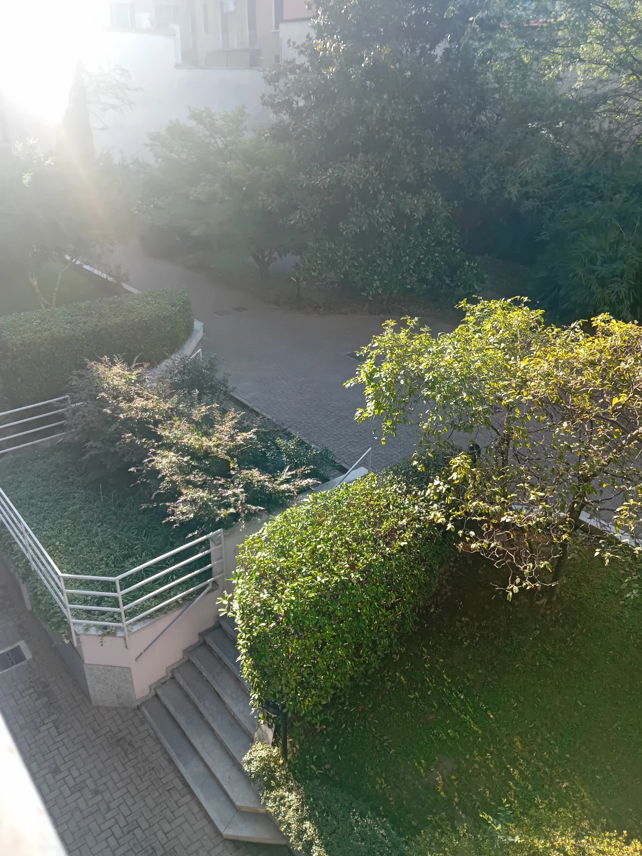 image-16
