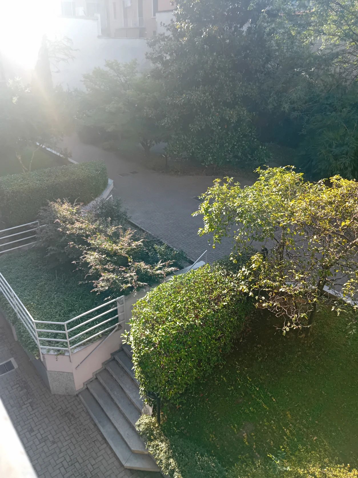 image-16