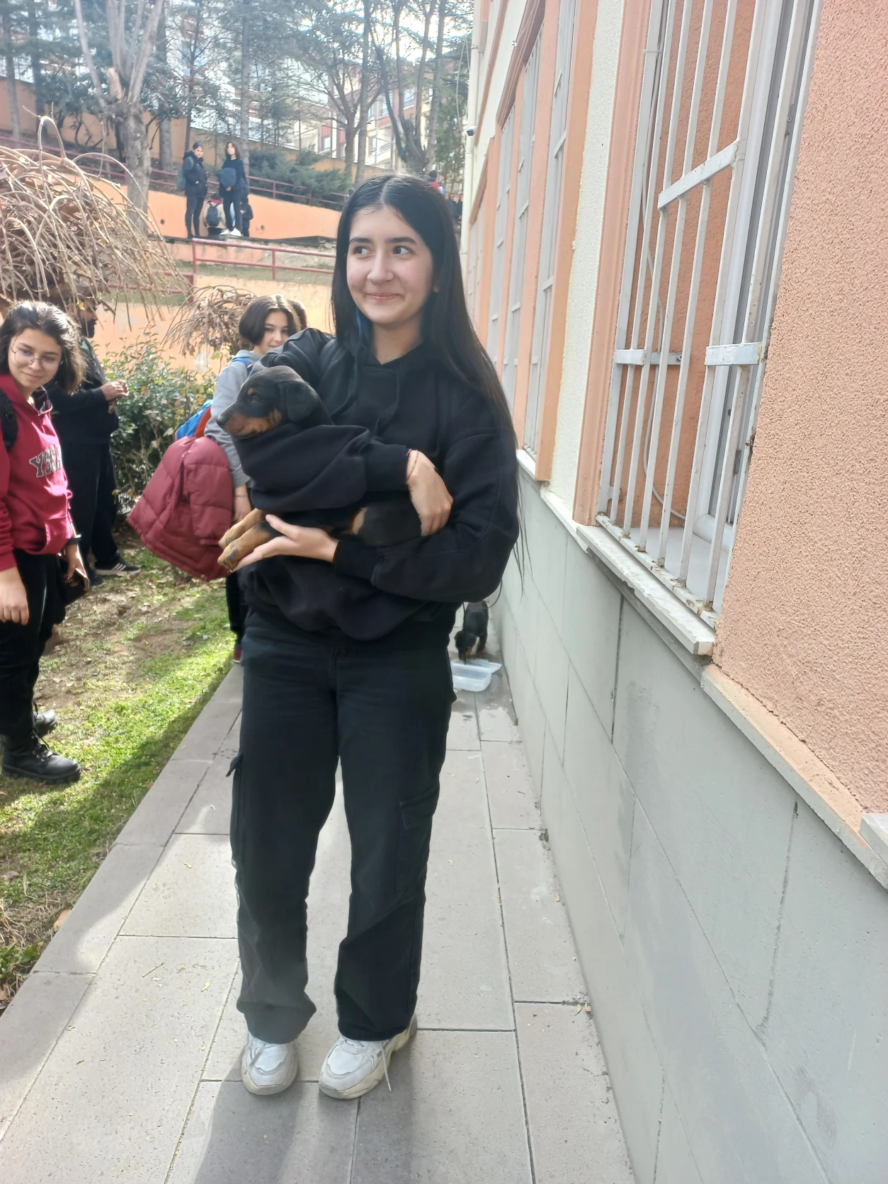 image-3