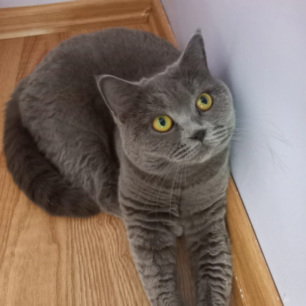 Luna