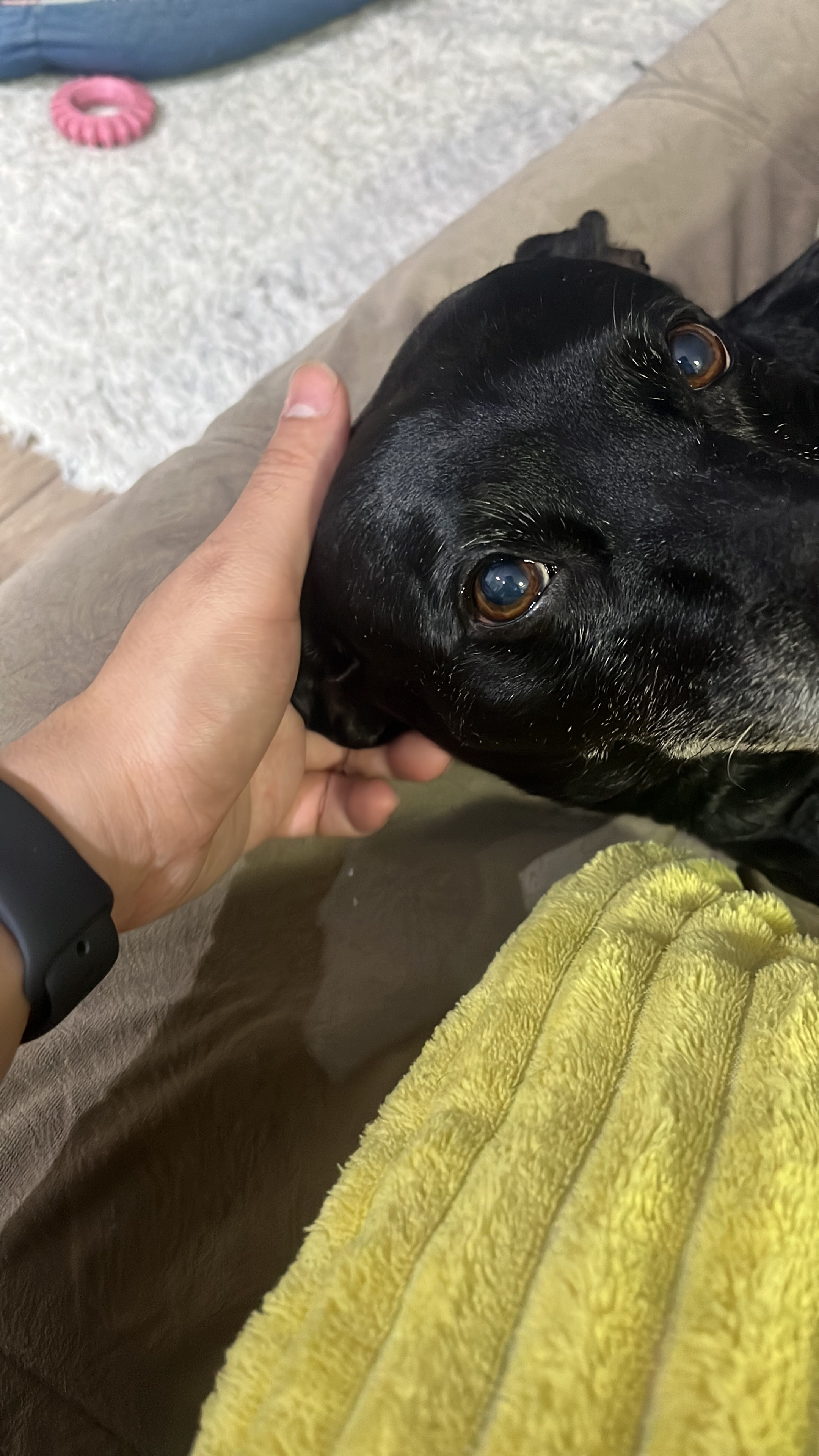image-16