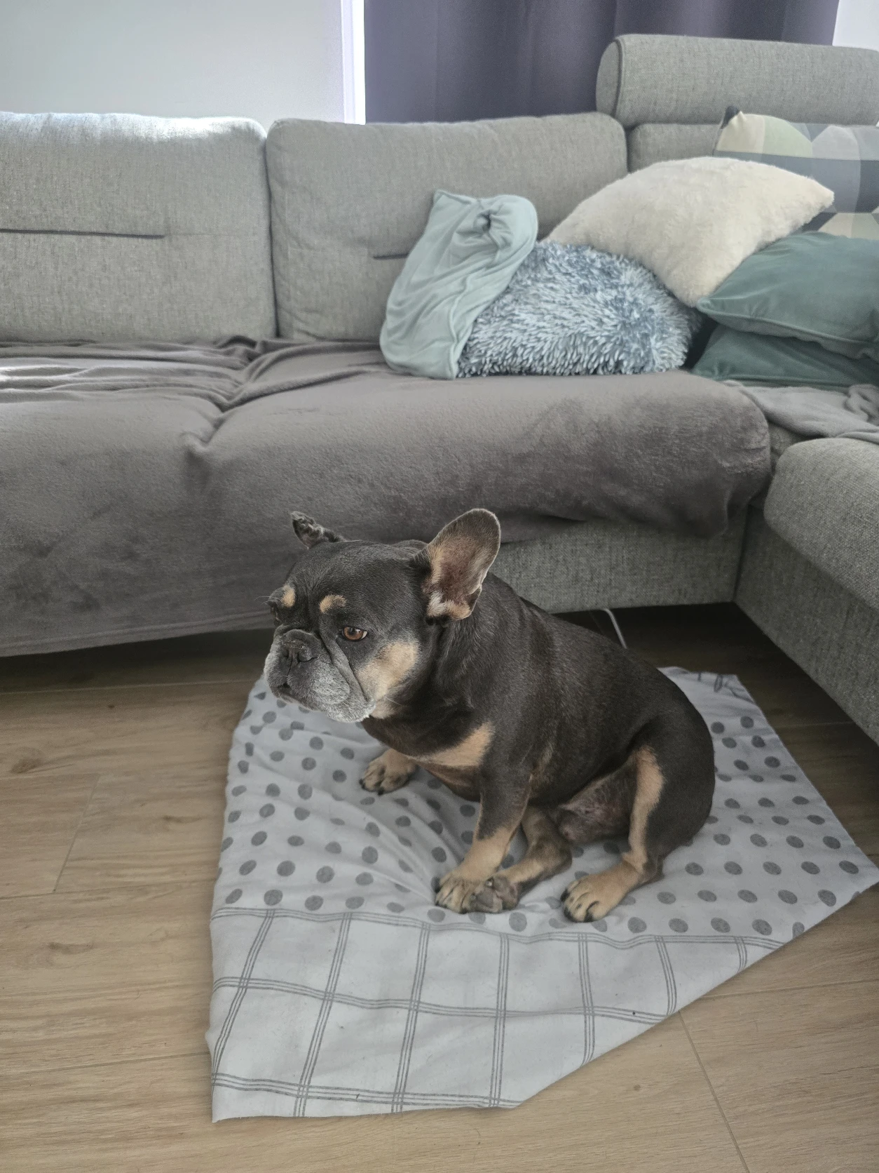 image-11