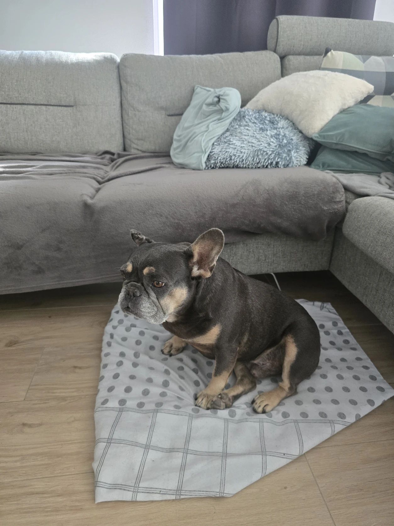 image-11