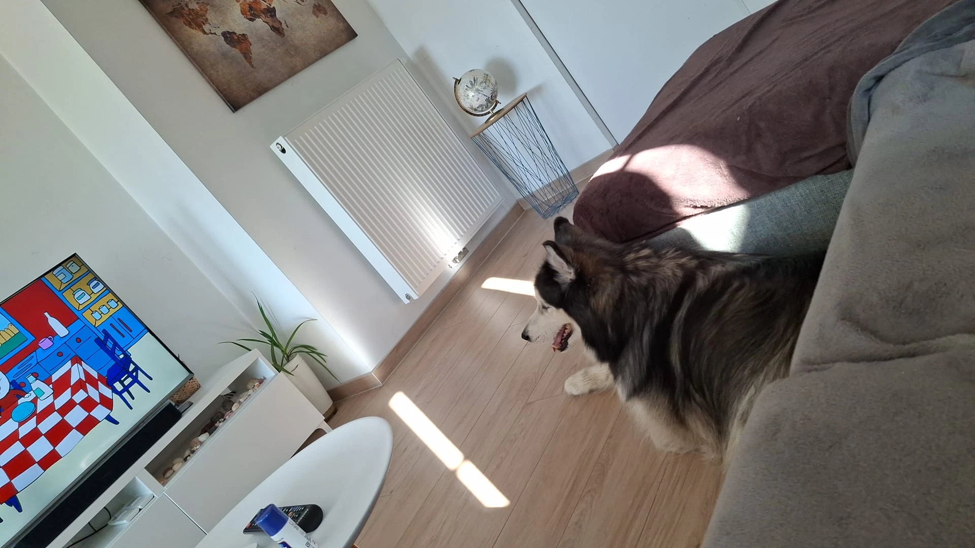 image-13