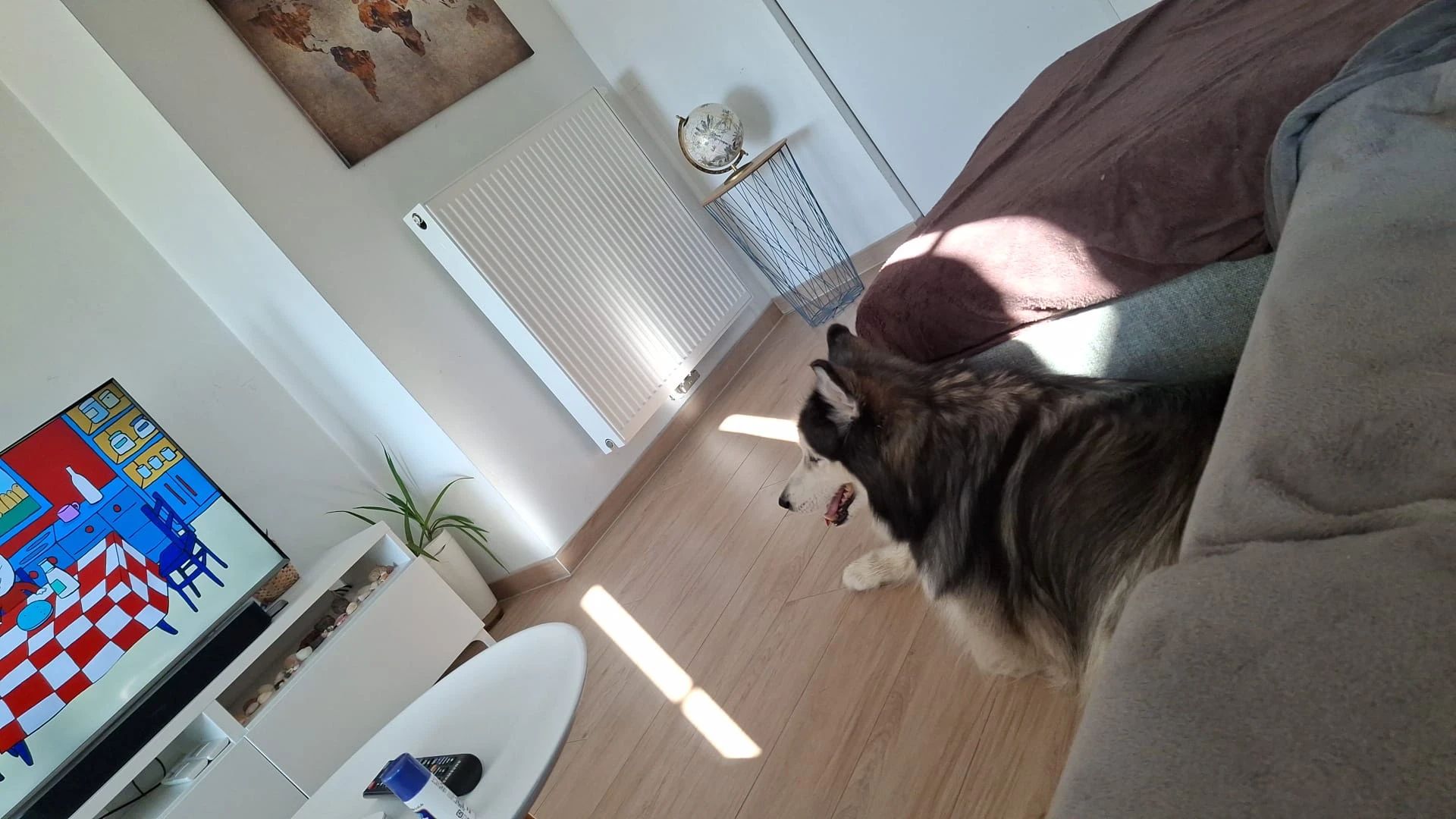 image-13