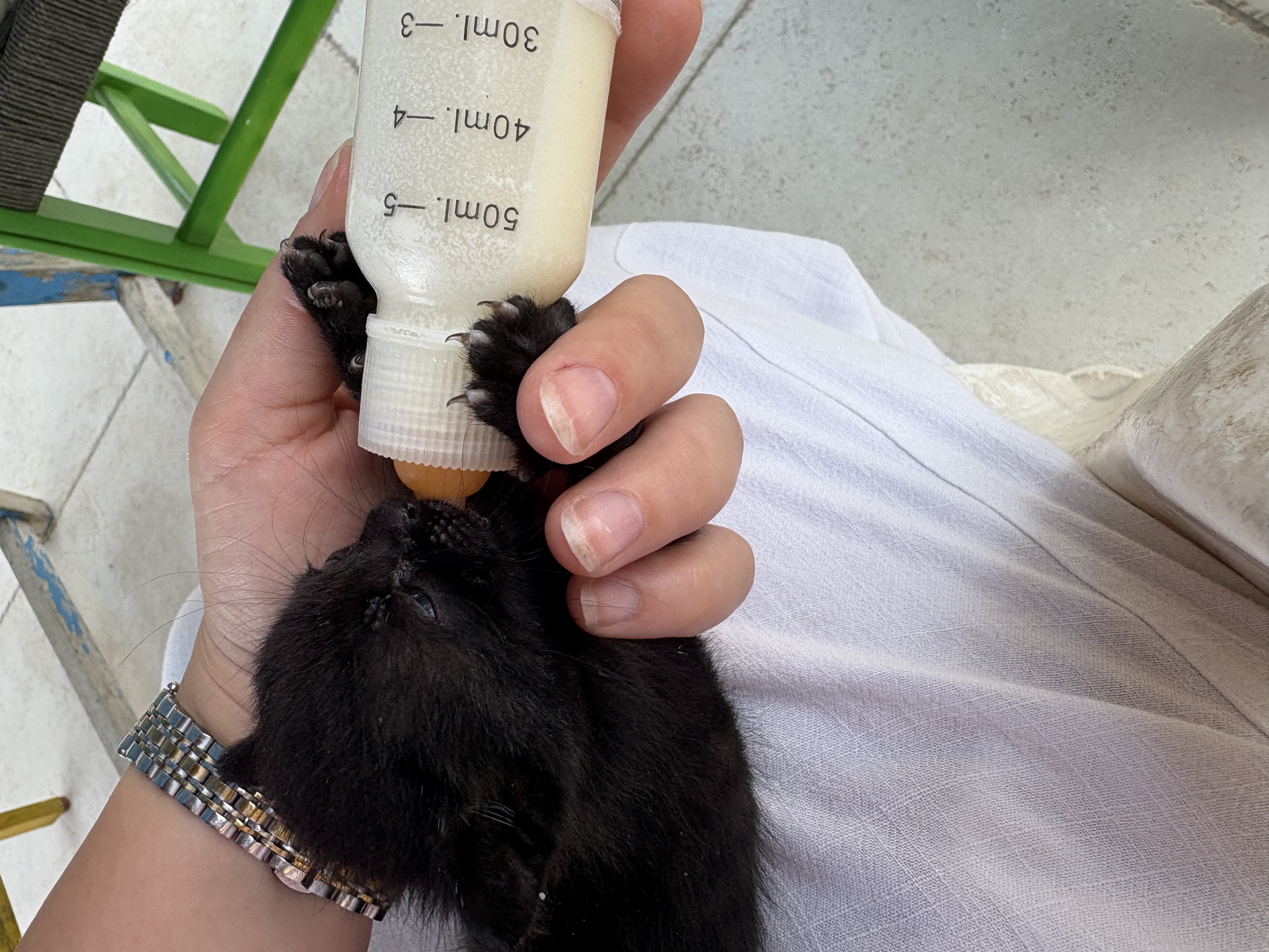image-8