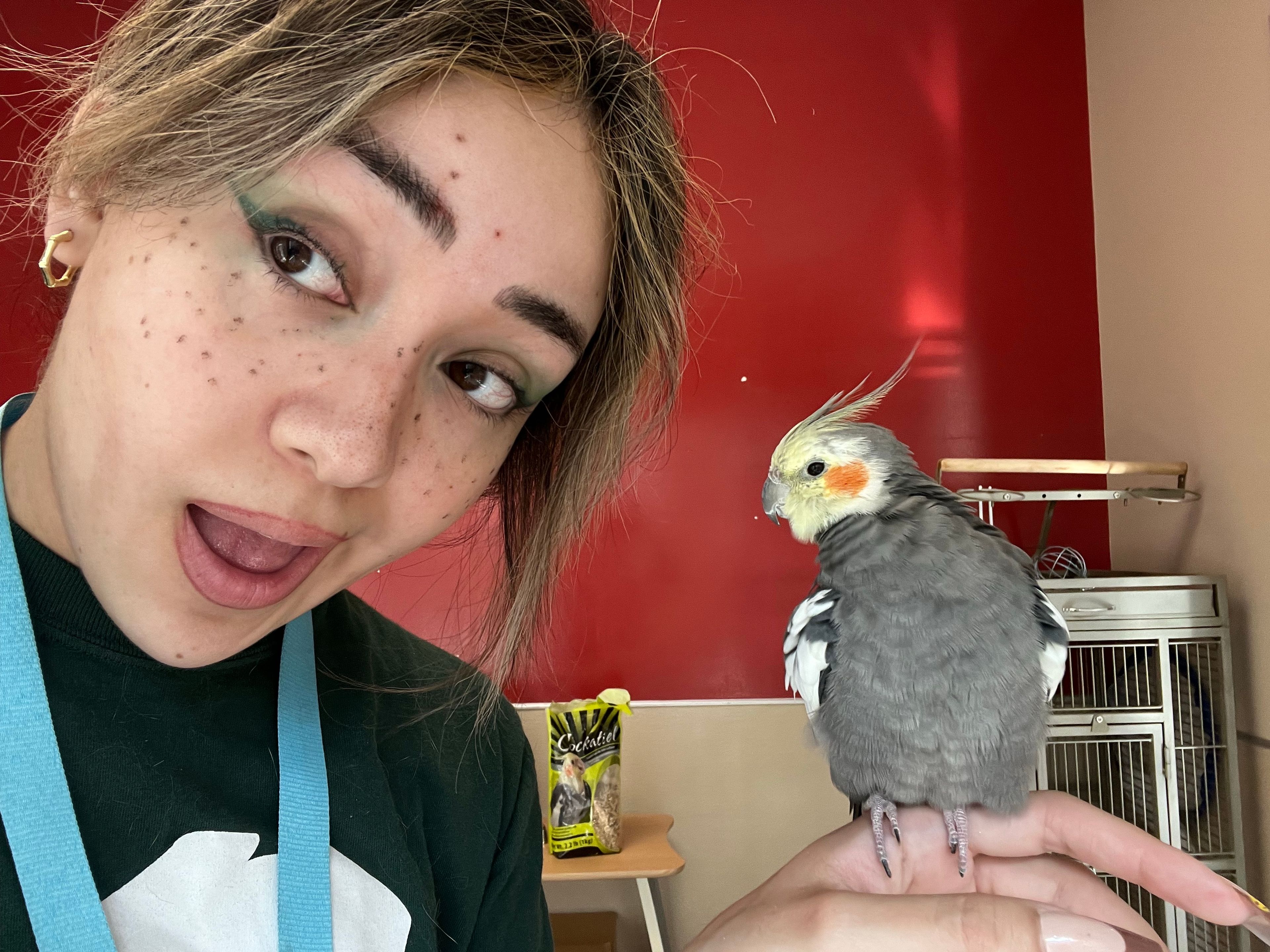 image-3