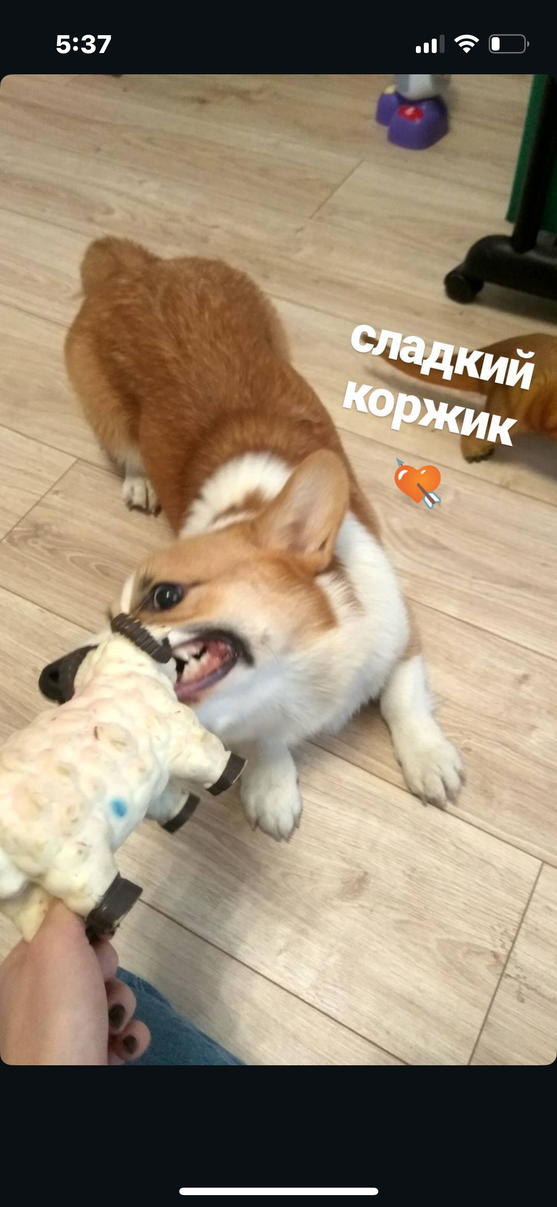 image-5