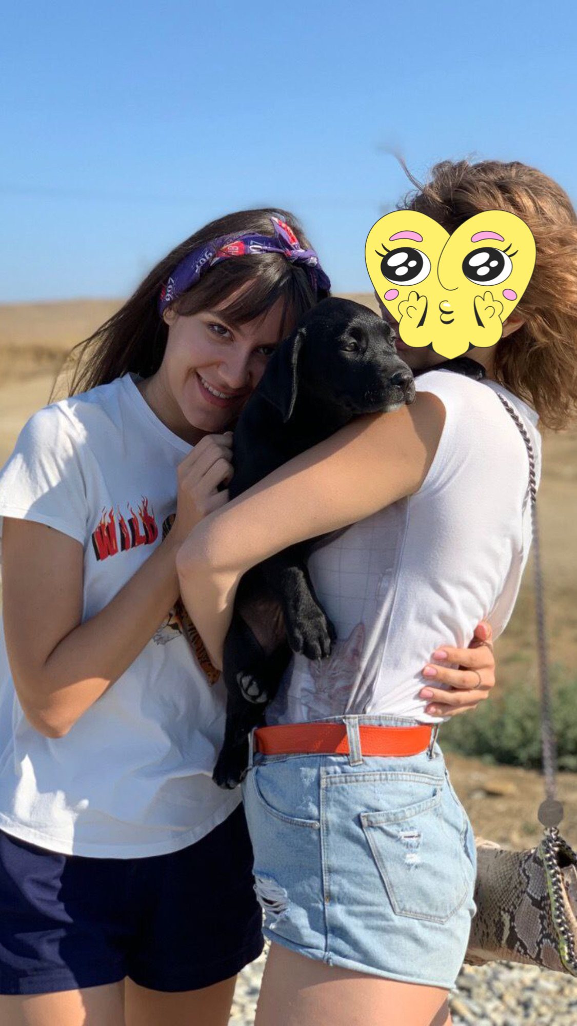 image-8