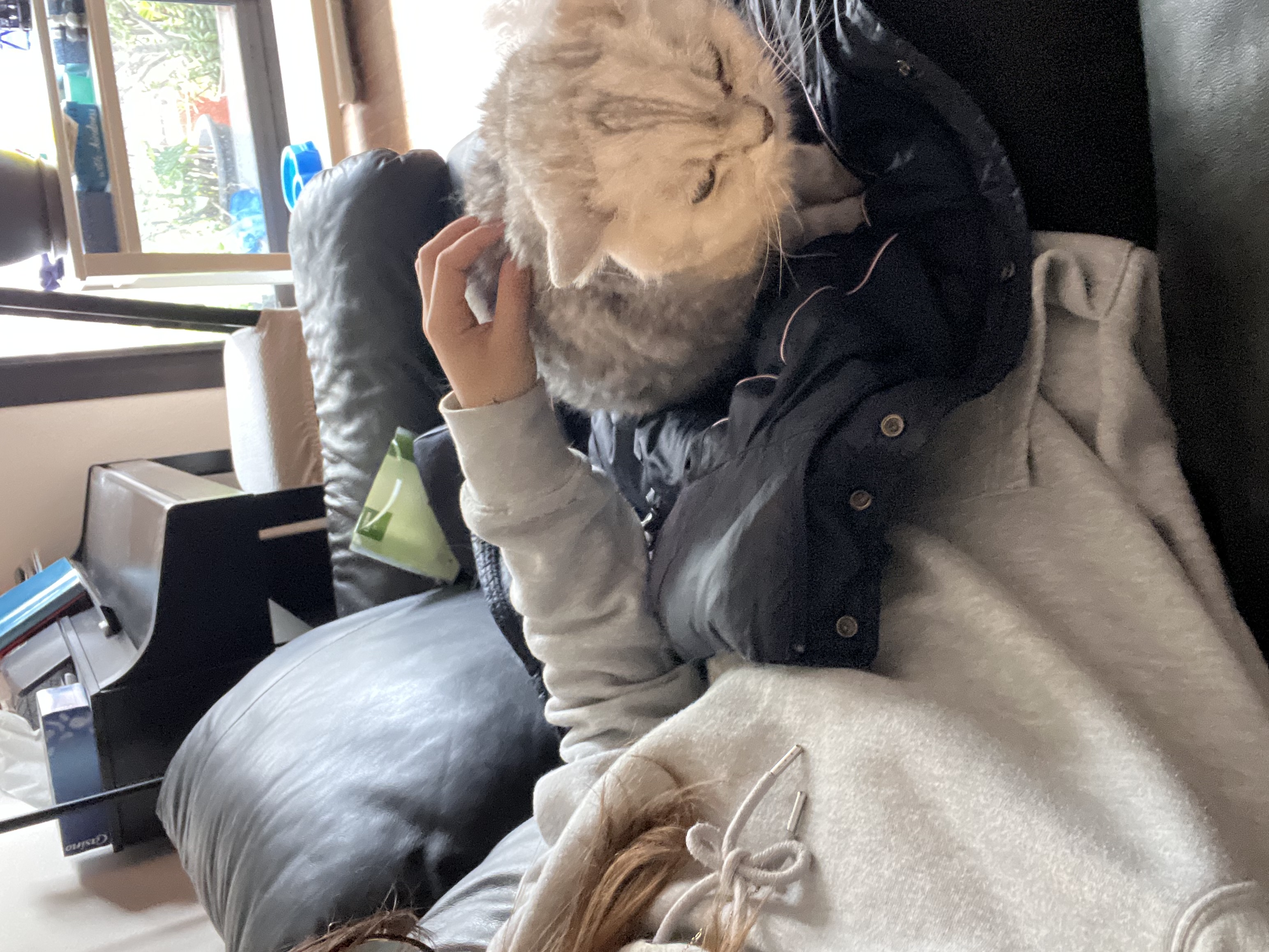 image-12