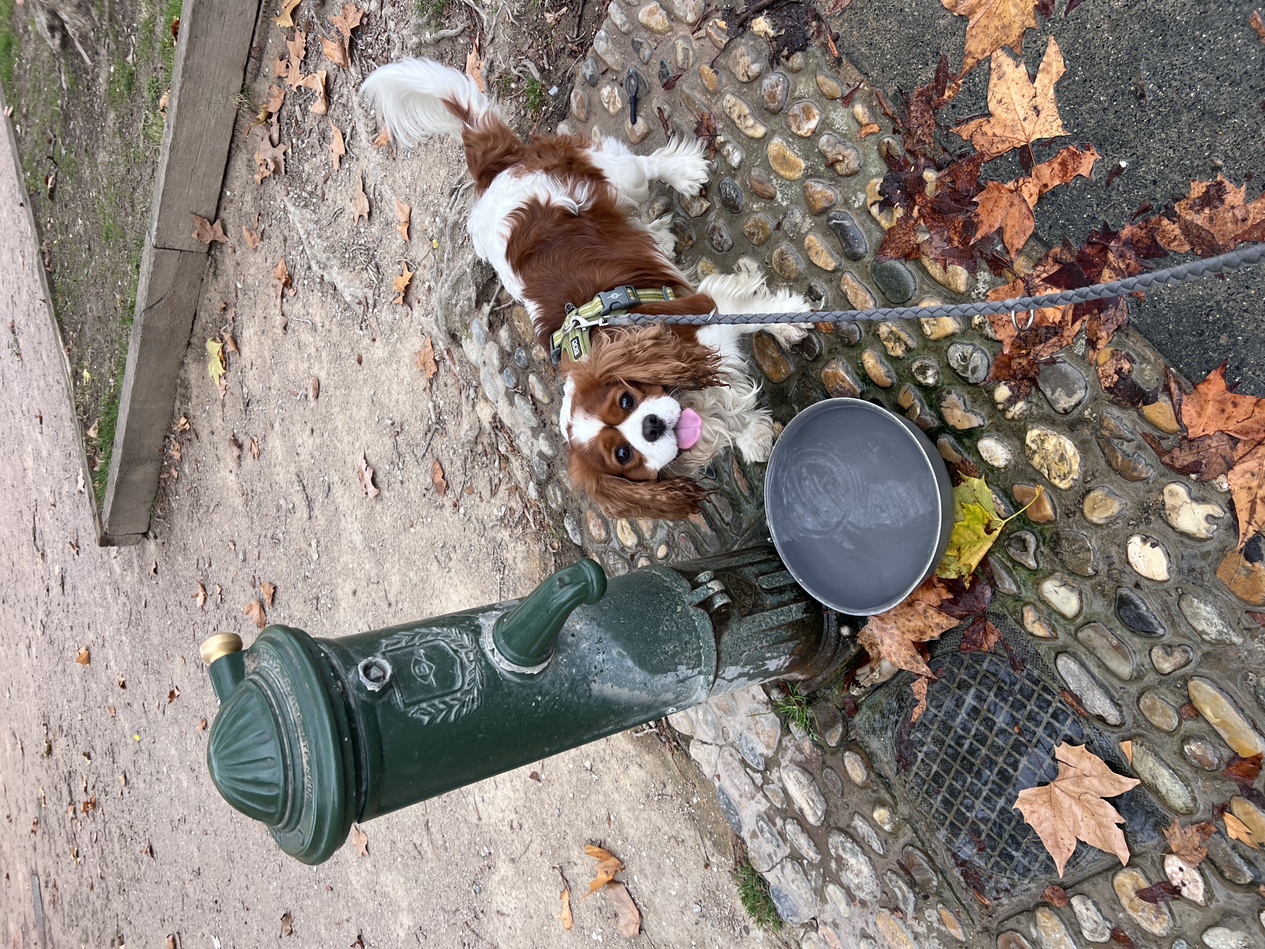 image-17