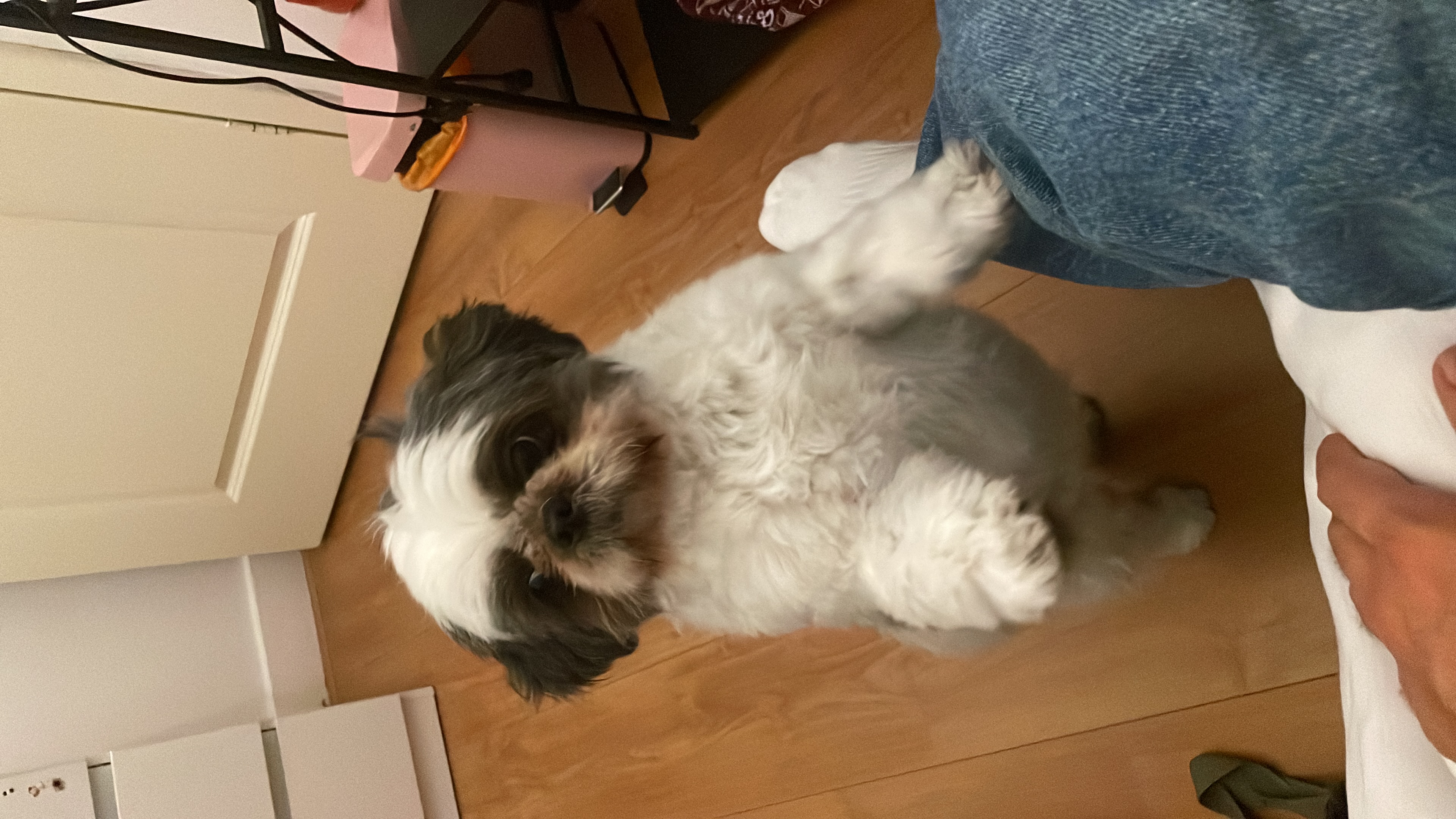 image-7