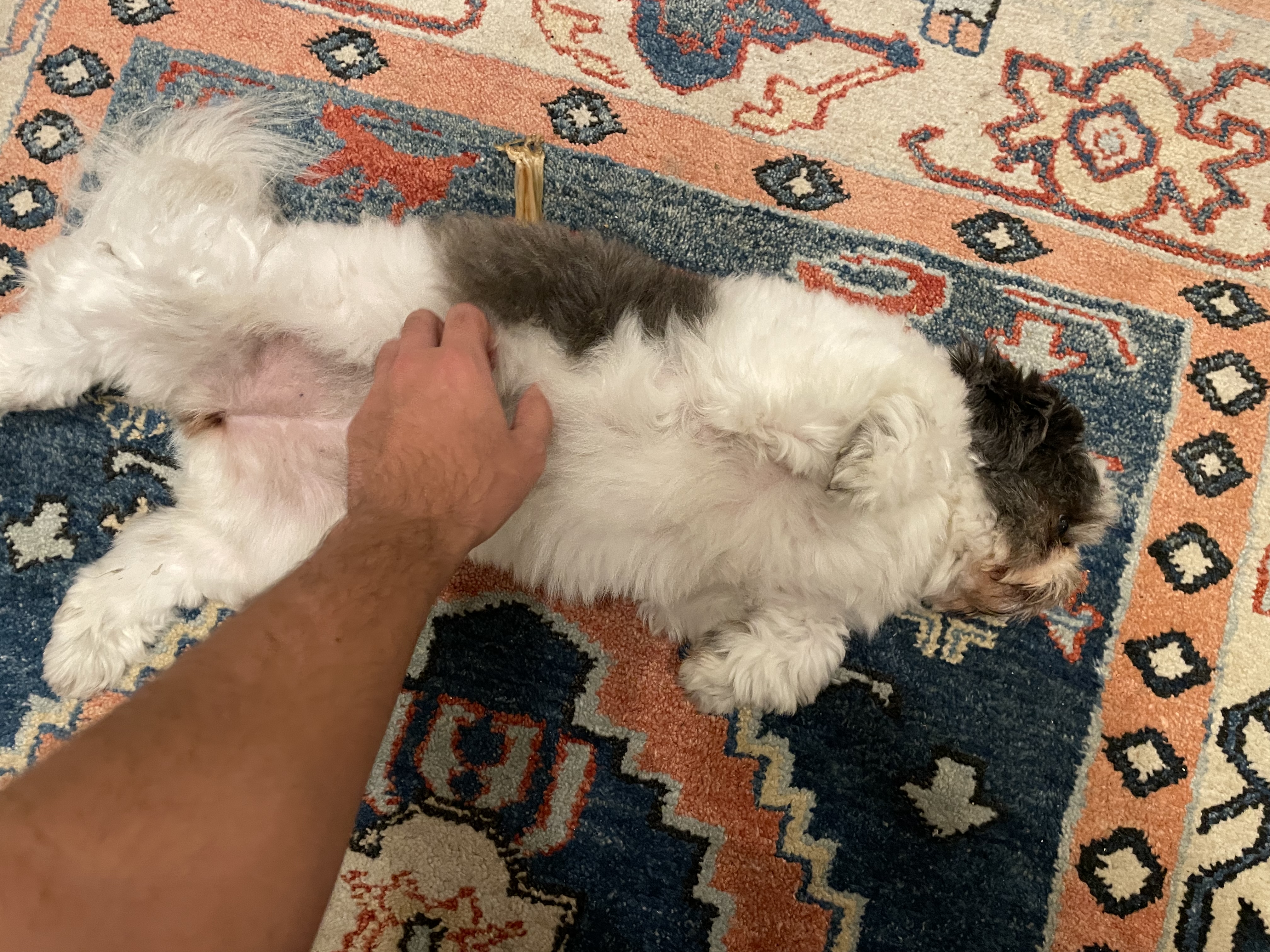 image-10