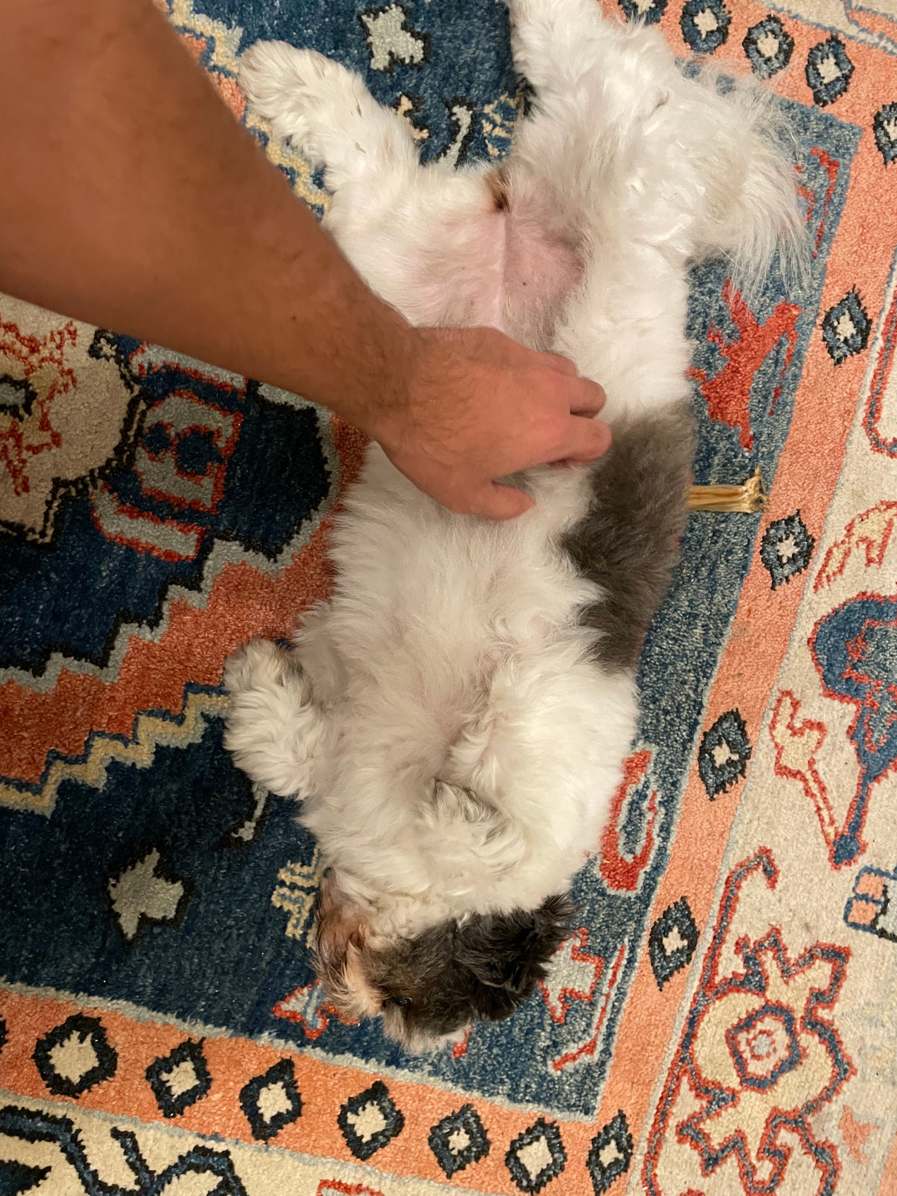 image-10