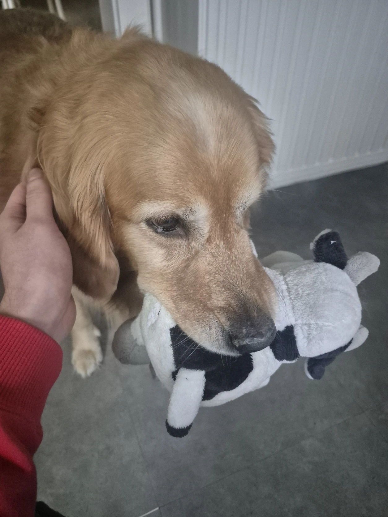 image-8
