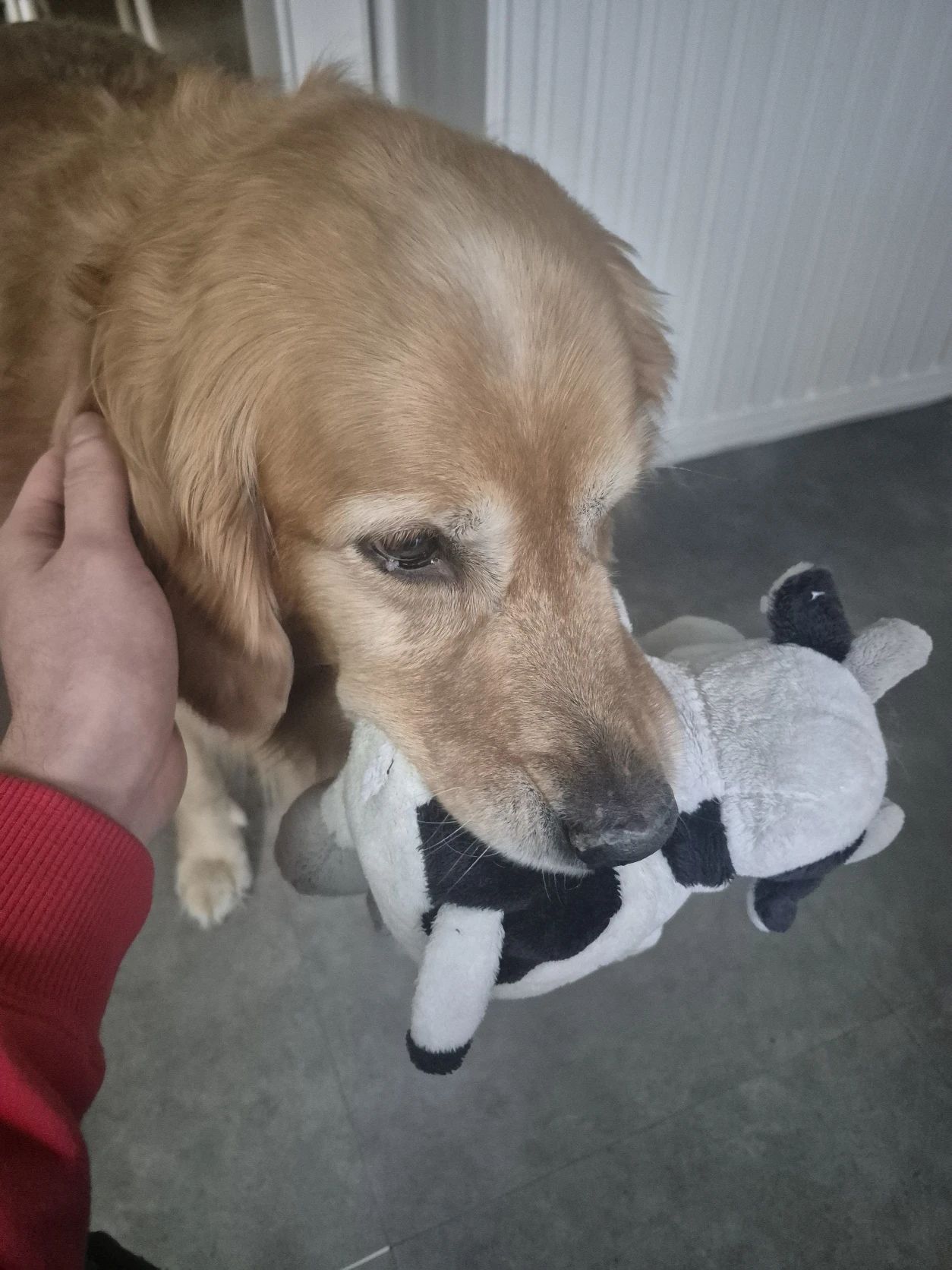 image-8