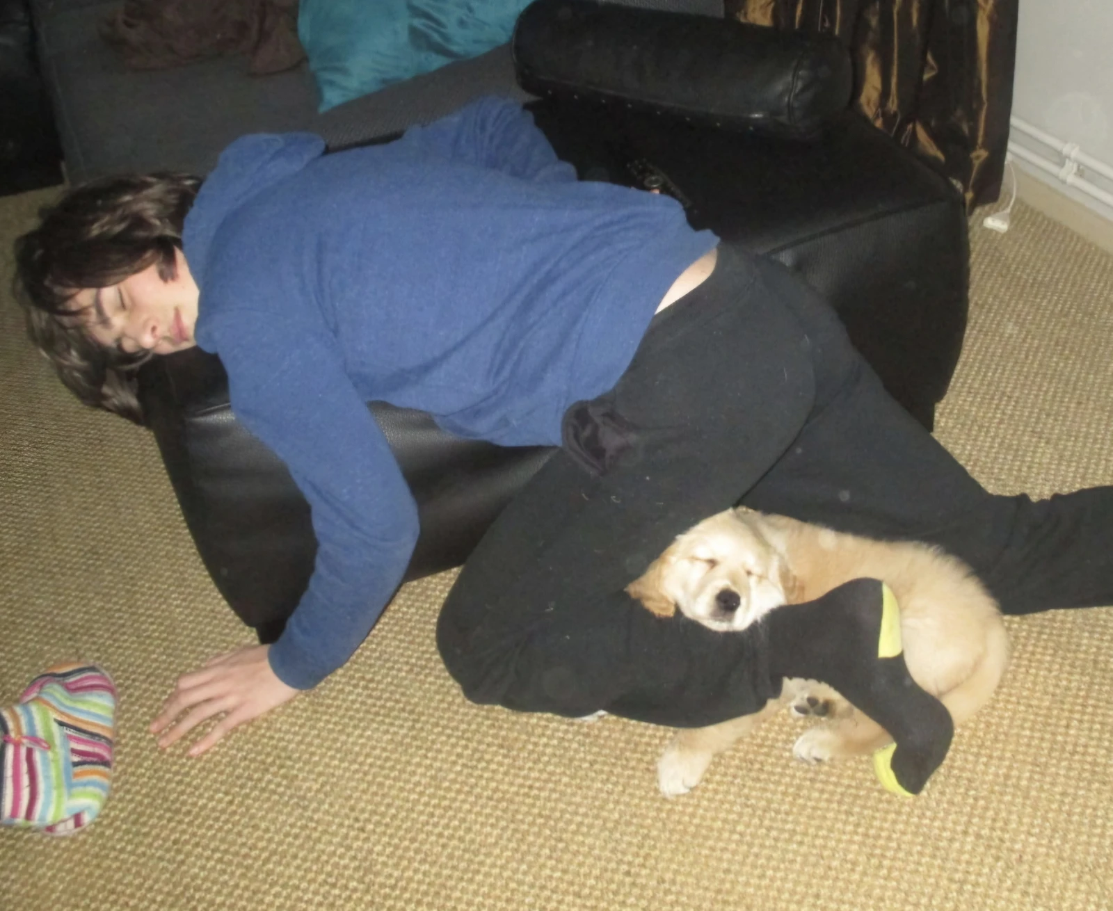 image-7