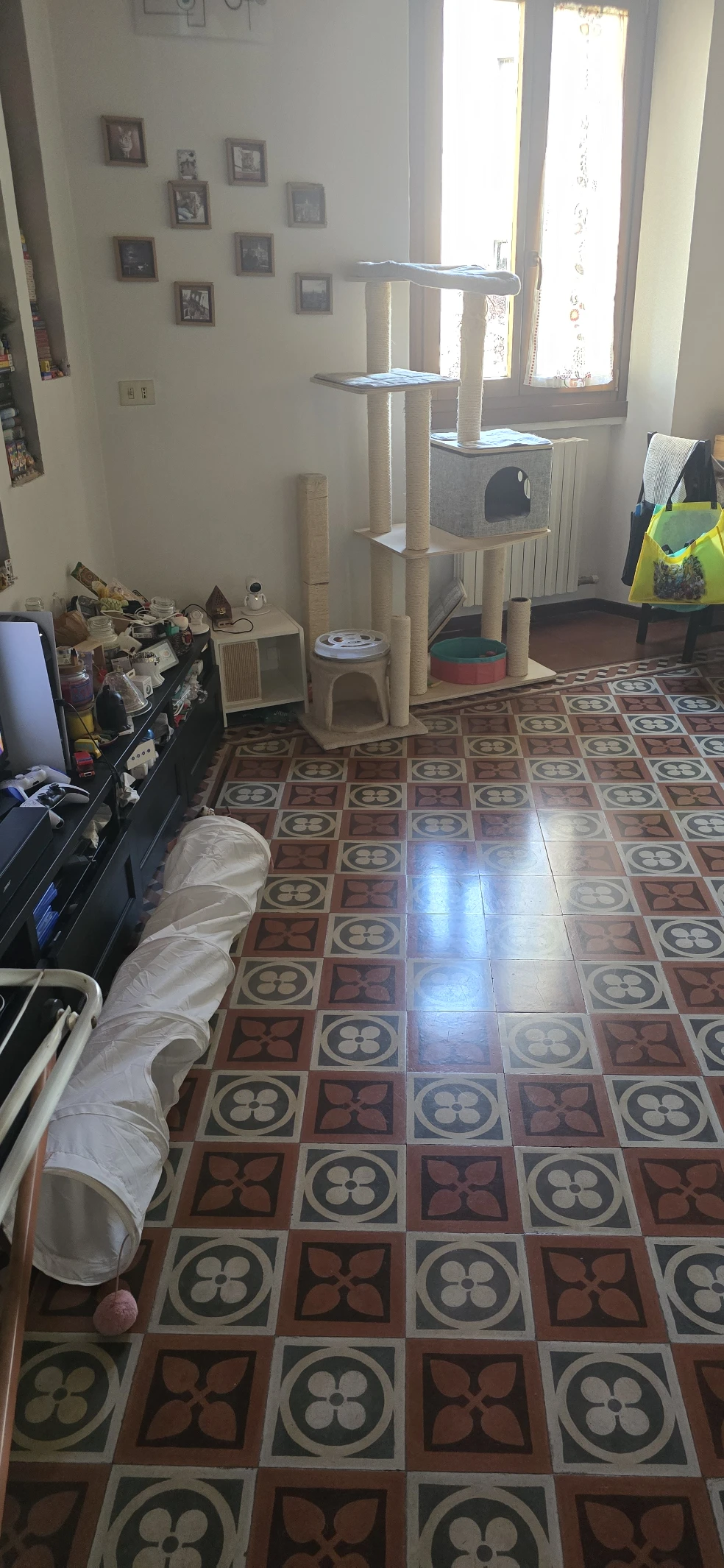 image-20