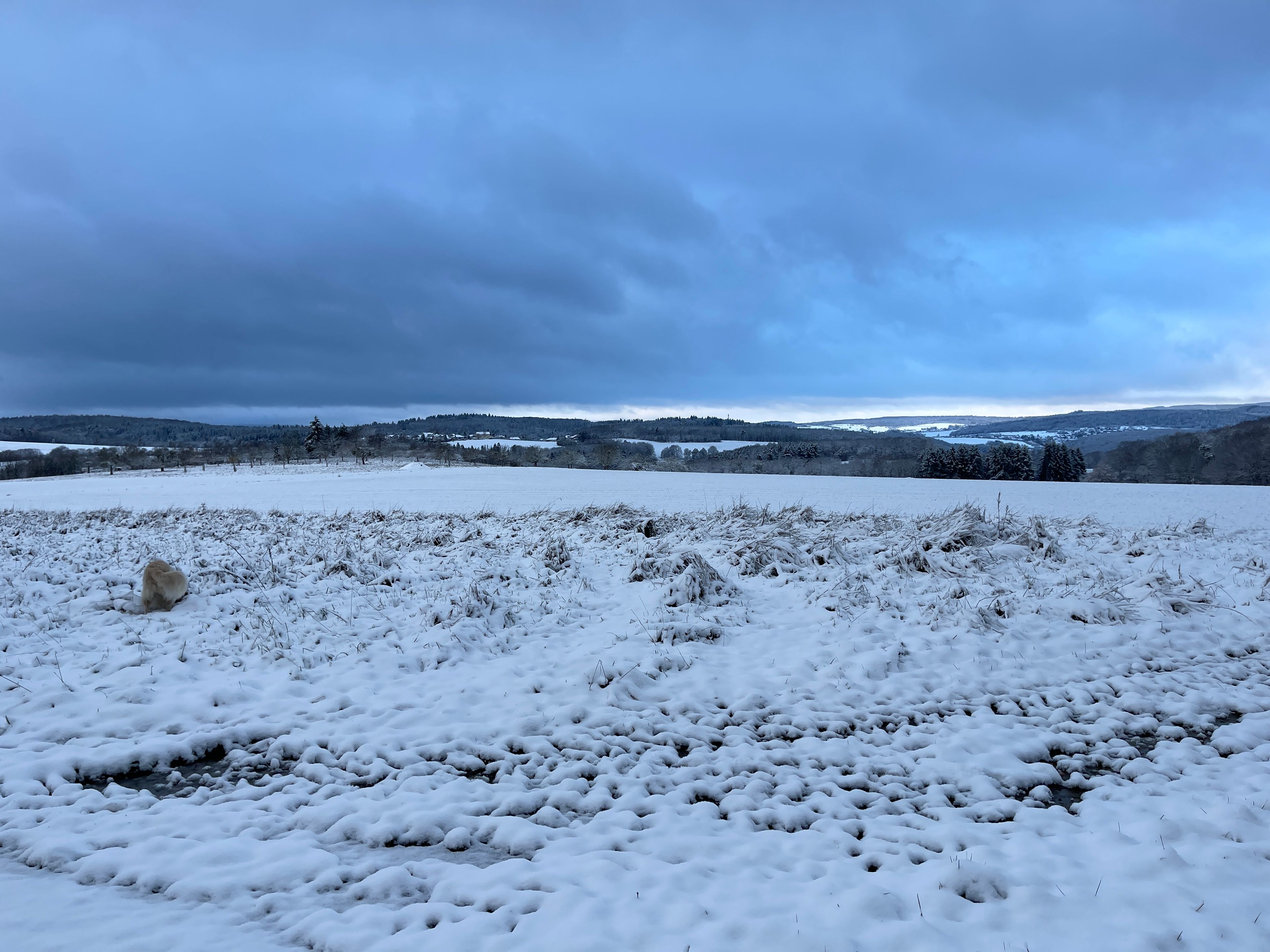image-16