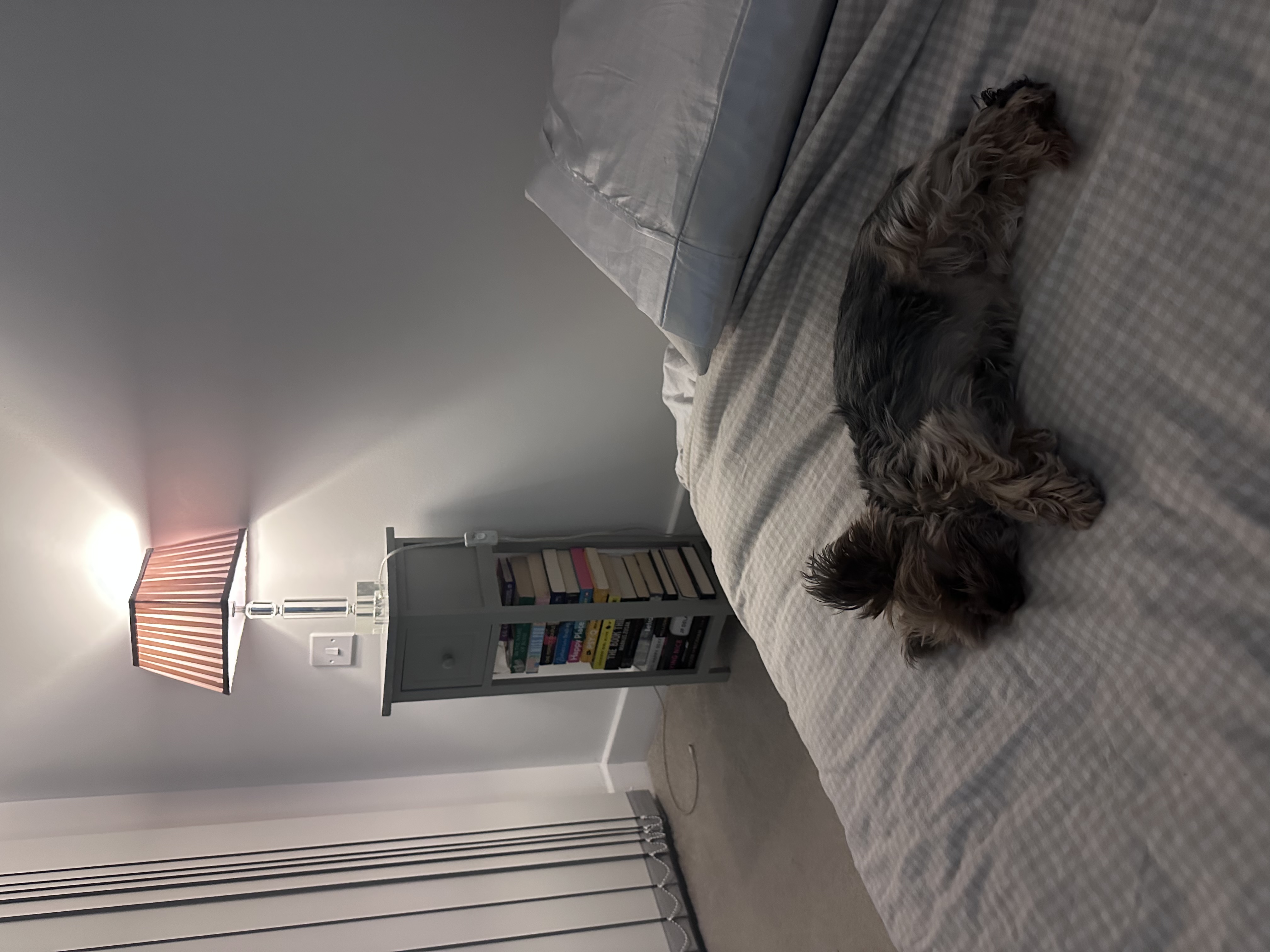 image-6