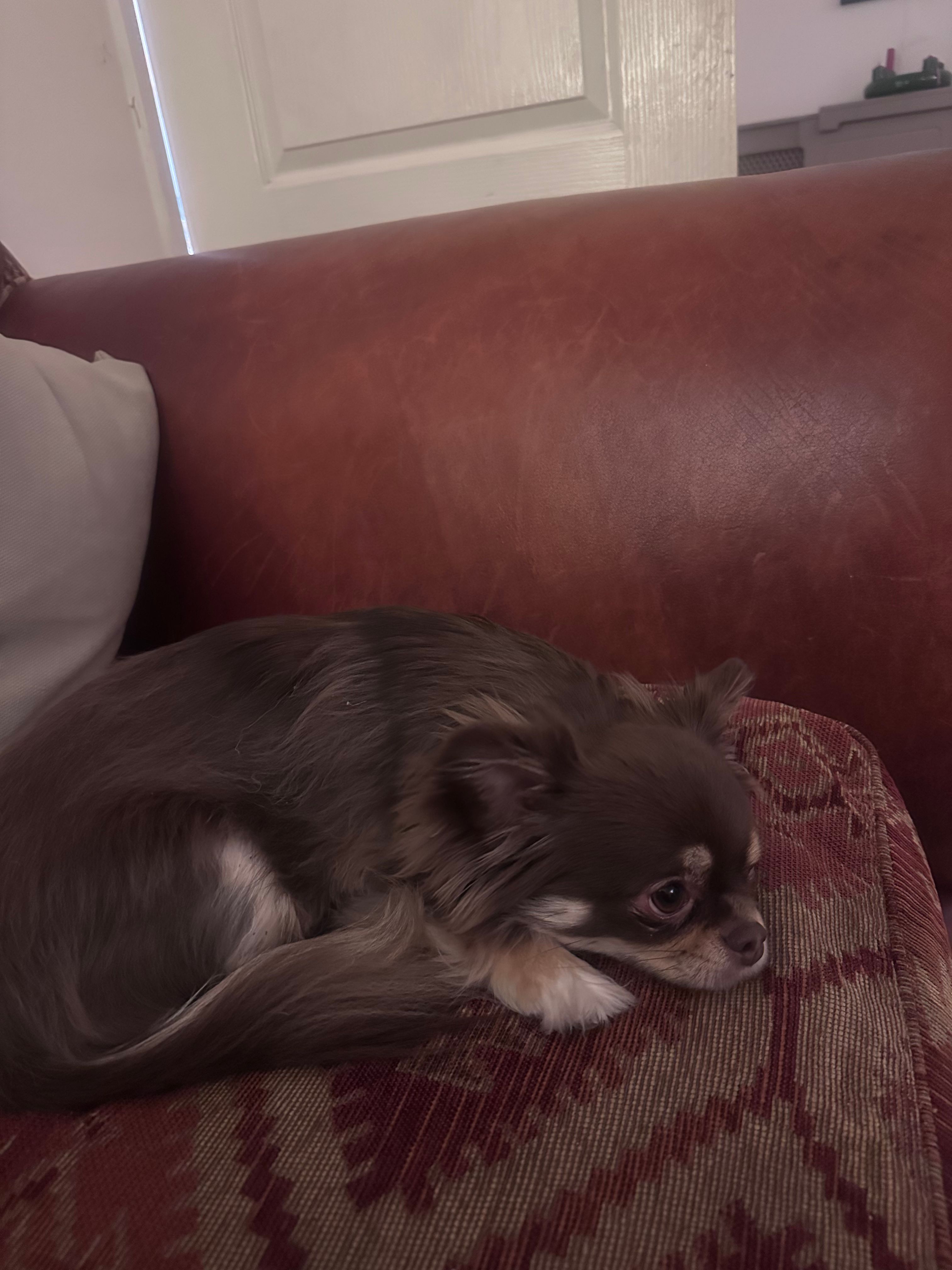 image-9