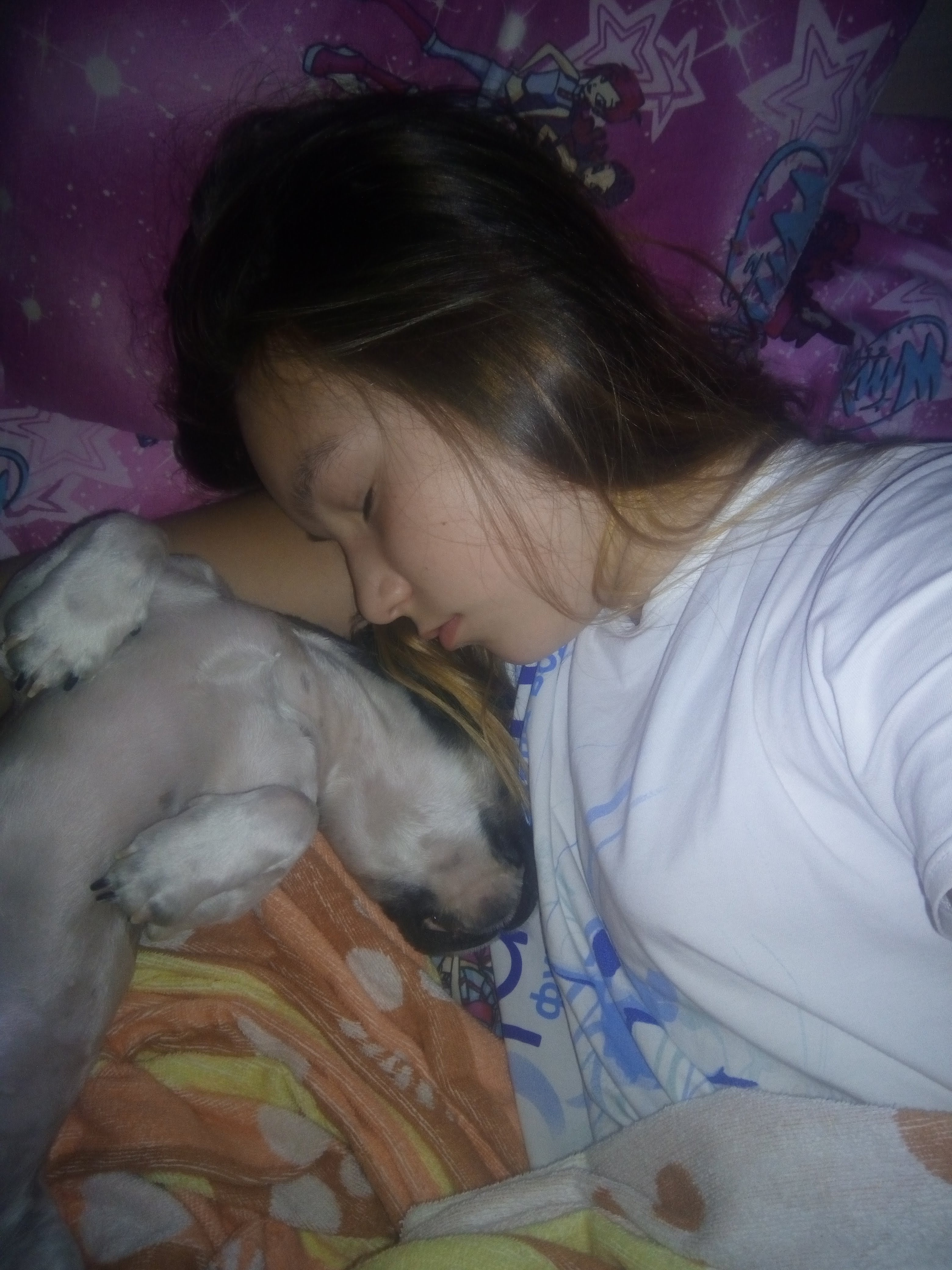 image-5