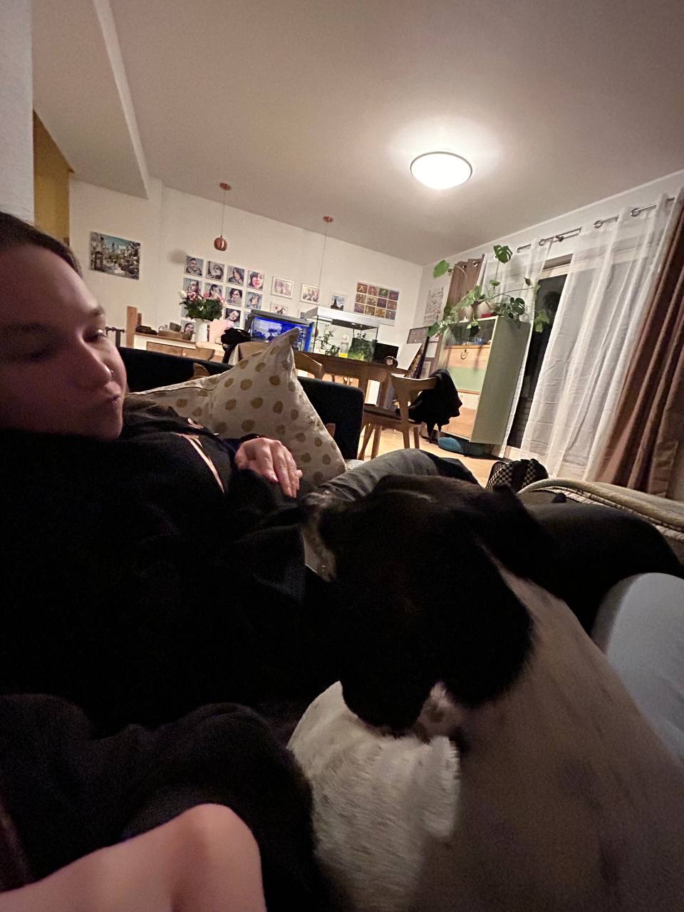 image-8
