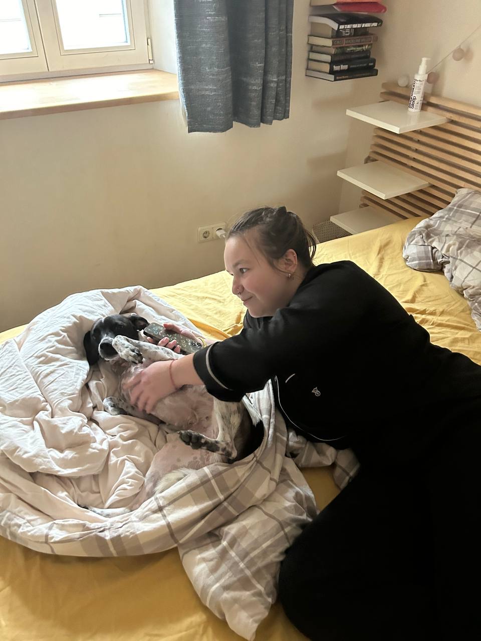 image-6