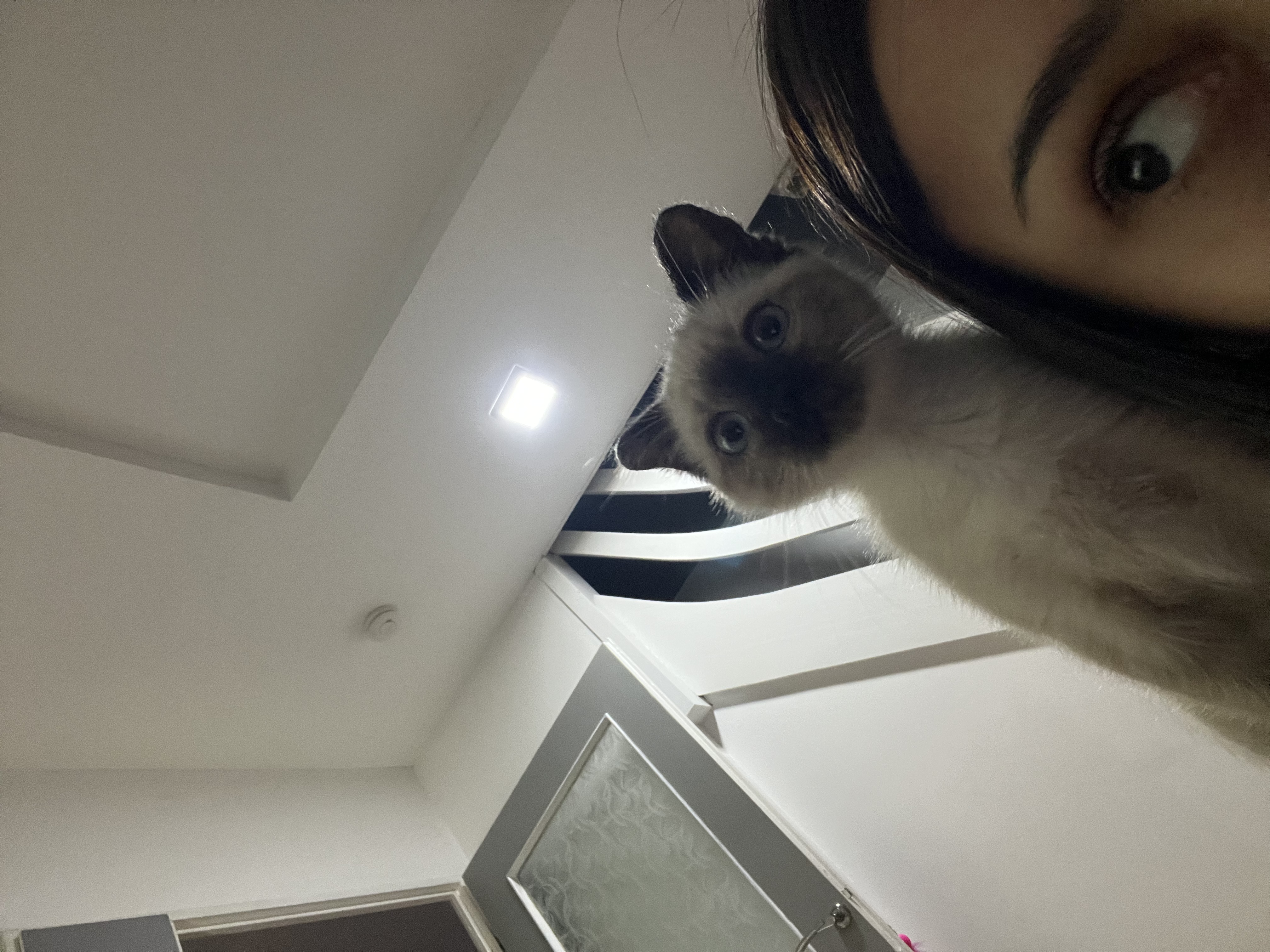 image-6