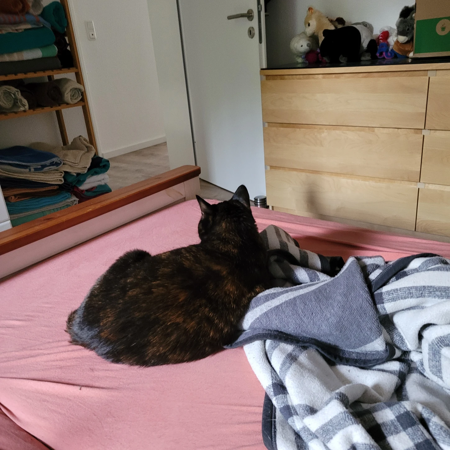image-19