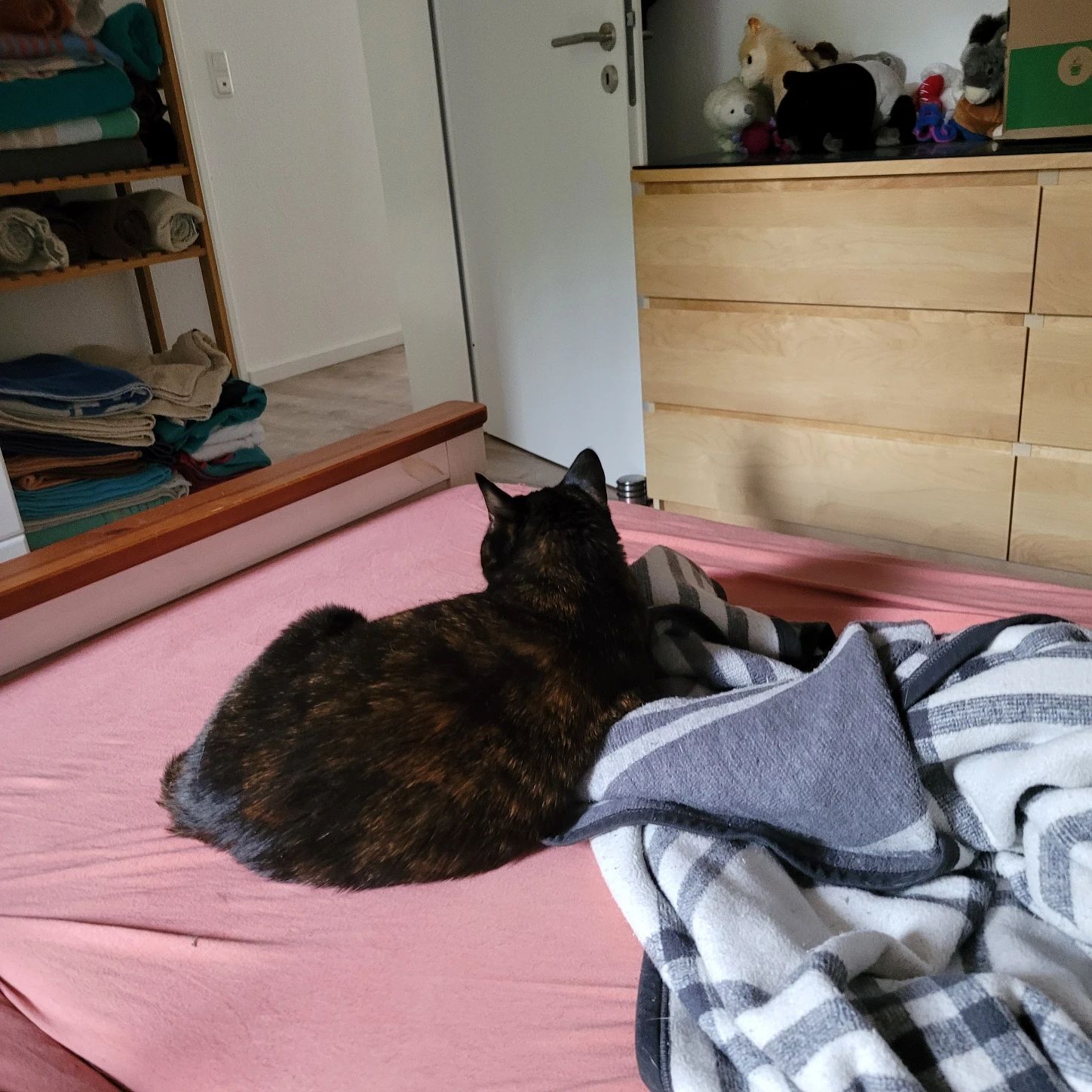 image-19